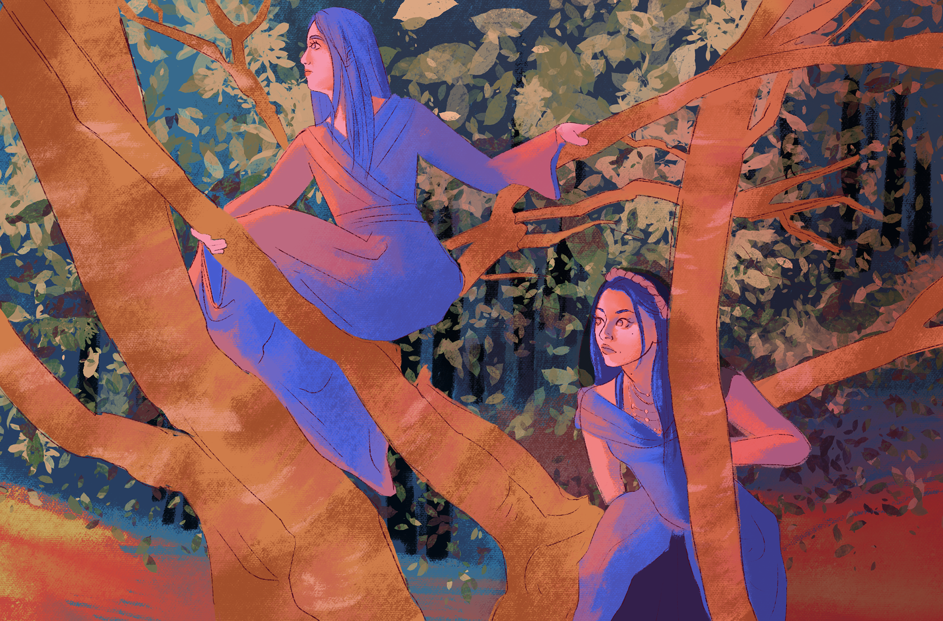 Curious Companions, 2024