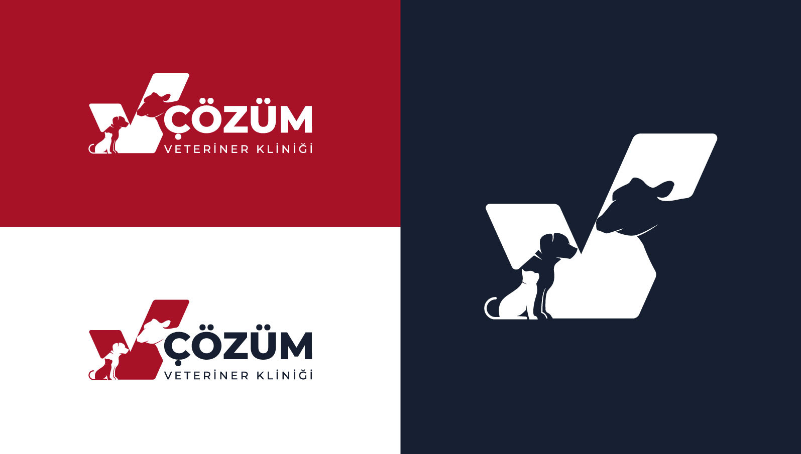 Çözüm Veteriner Kliniği logo ve amblem varyasyonları