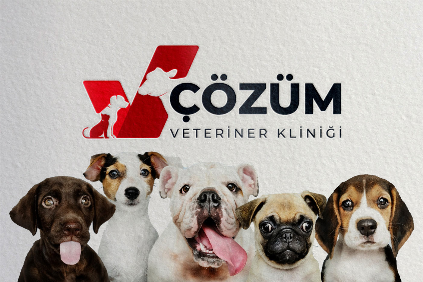 Çözüm Veteriner Kliniği logo ve marka kimliği