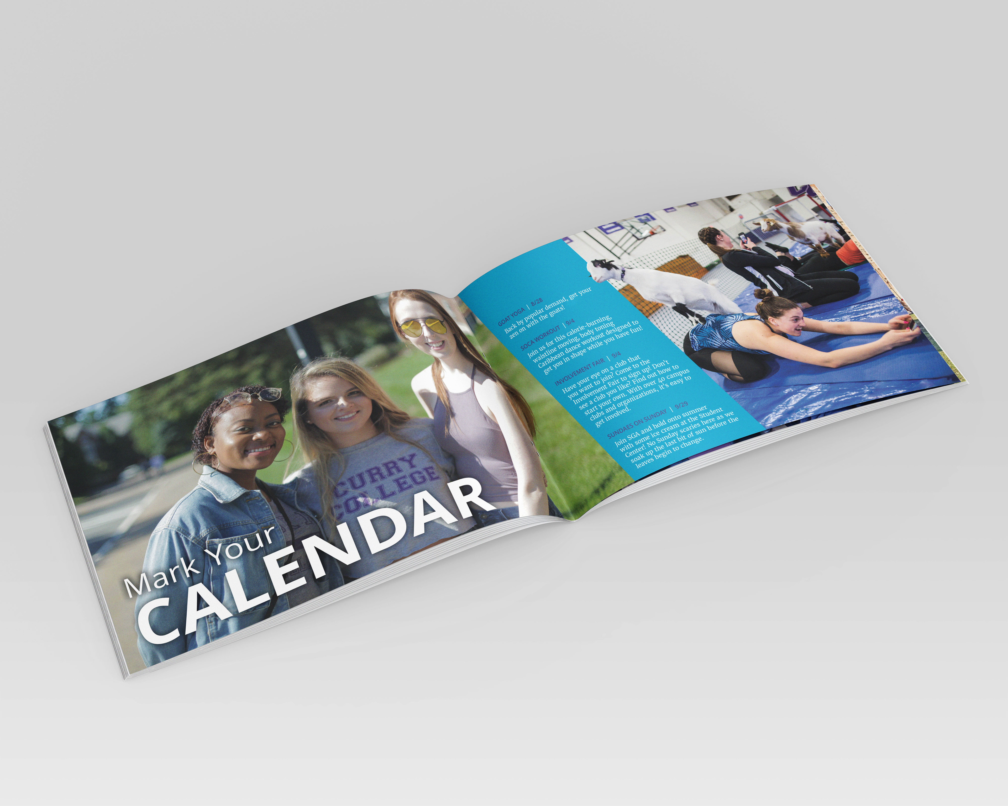 Spreads from Dream Bigger PAL brochure