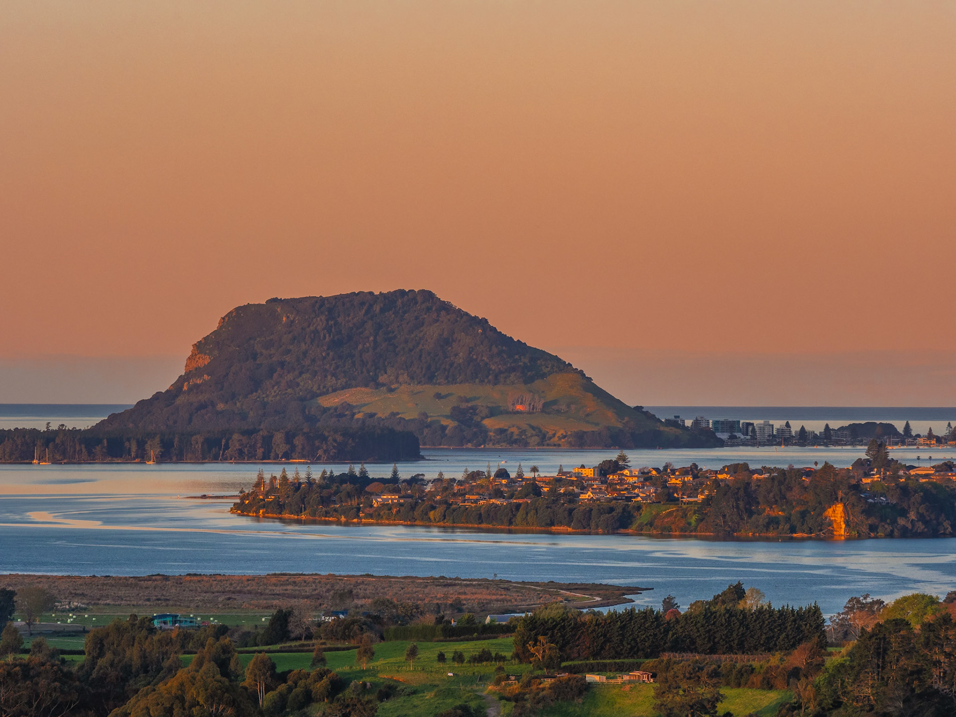 Mount Maunganui from Minden, Te Puna P9250015