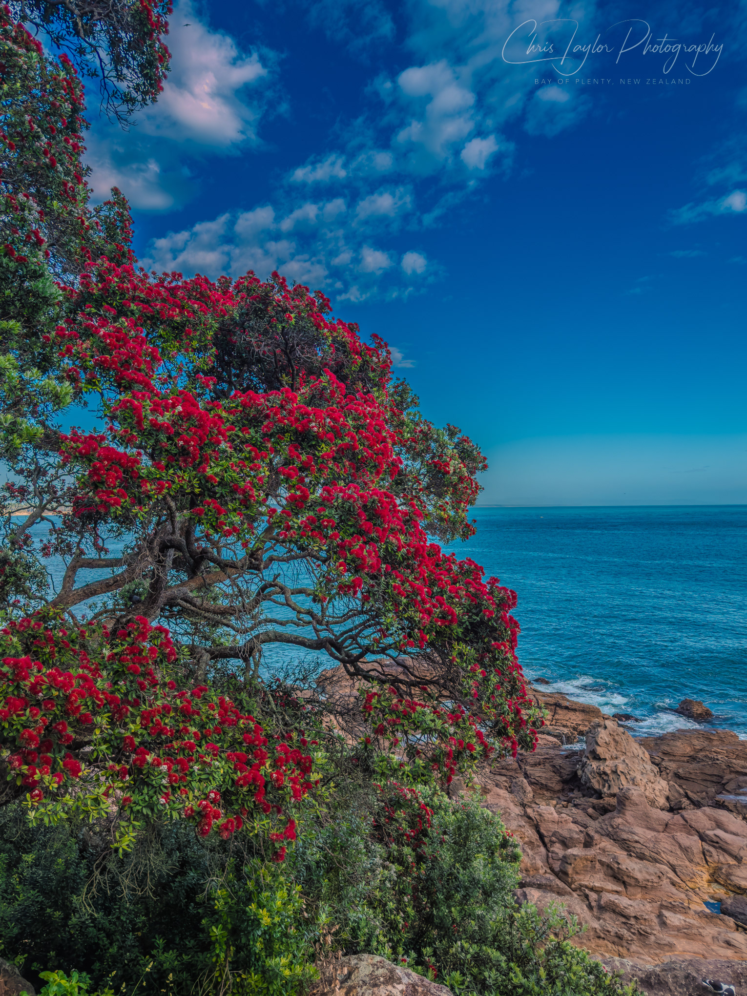 IMG_7572 Summer, Mount Maunganui