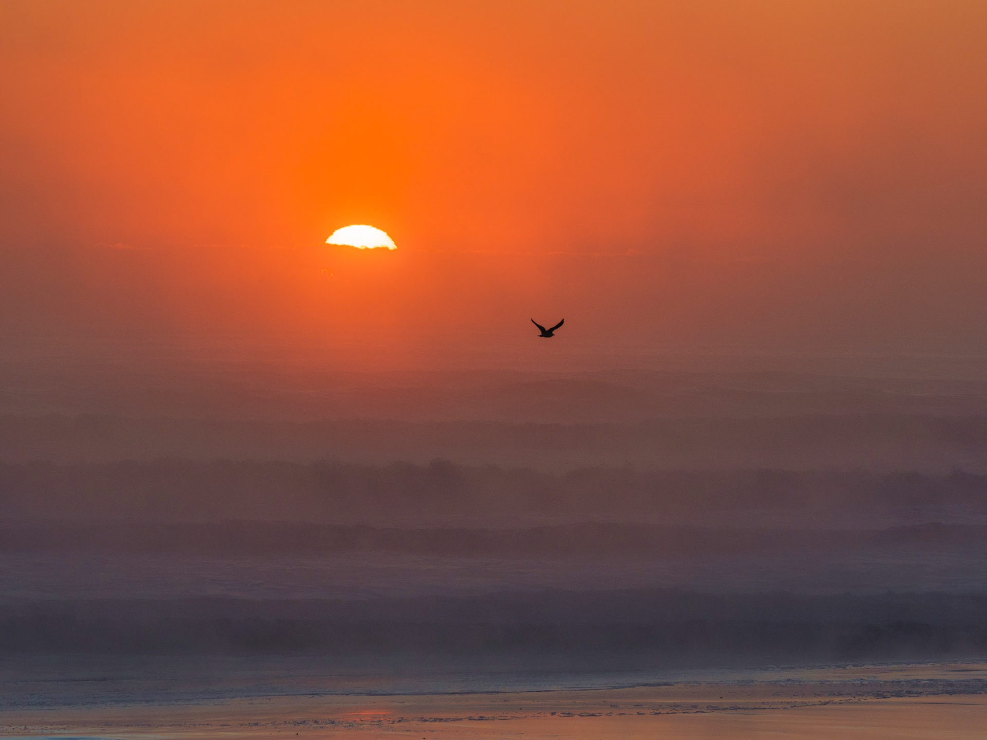 Papamoa Beach Sunrise P5230062
