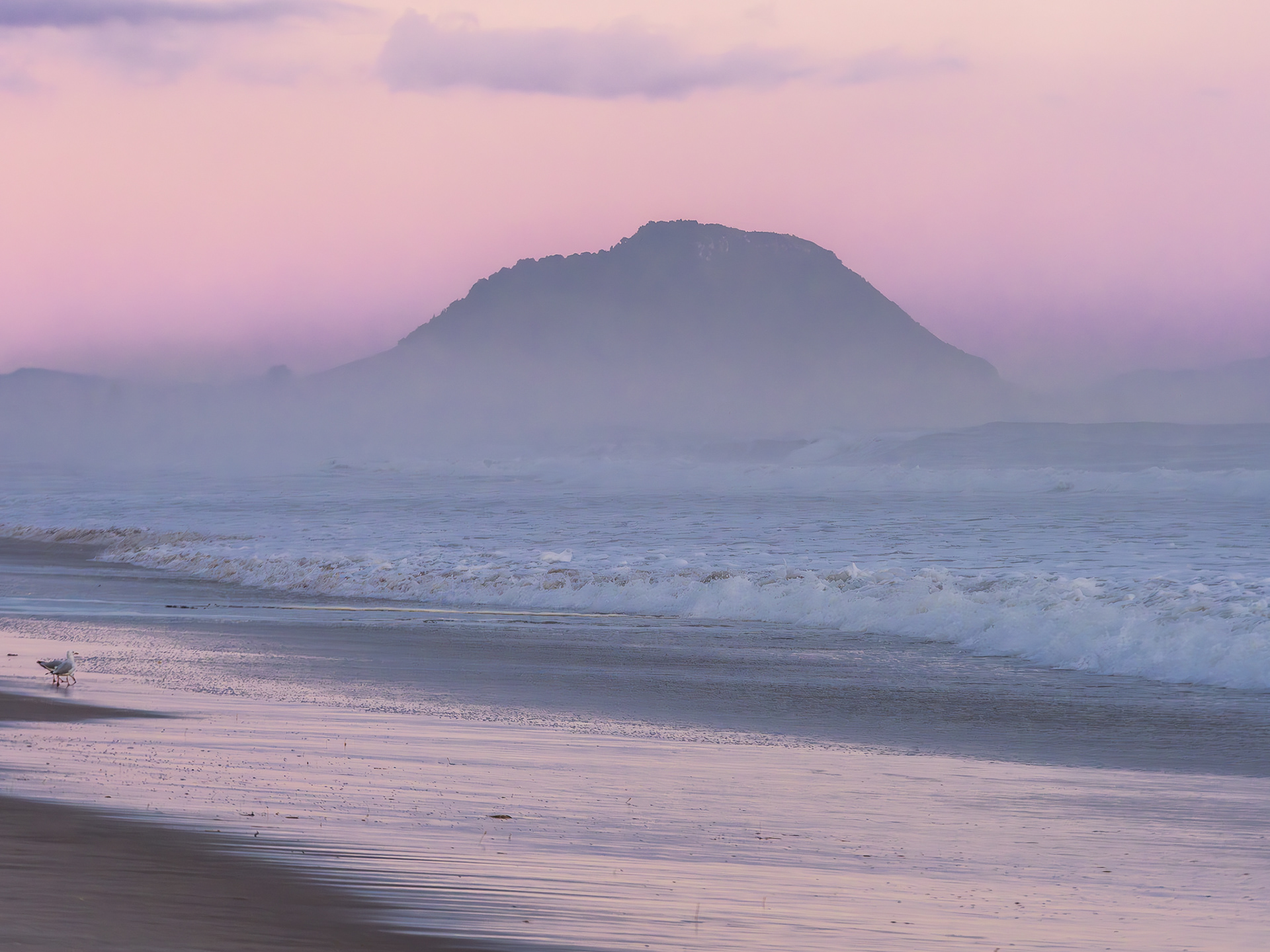 P2270029 Misty Mauve Dawn, Papamoa Beach
