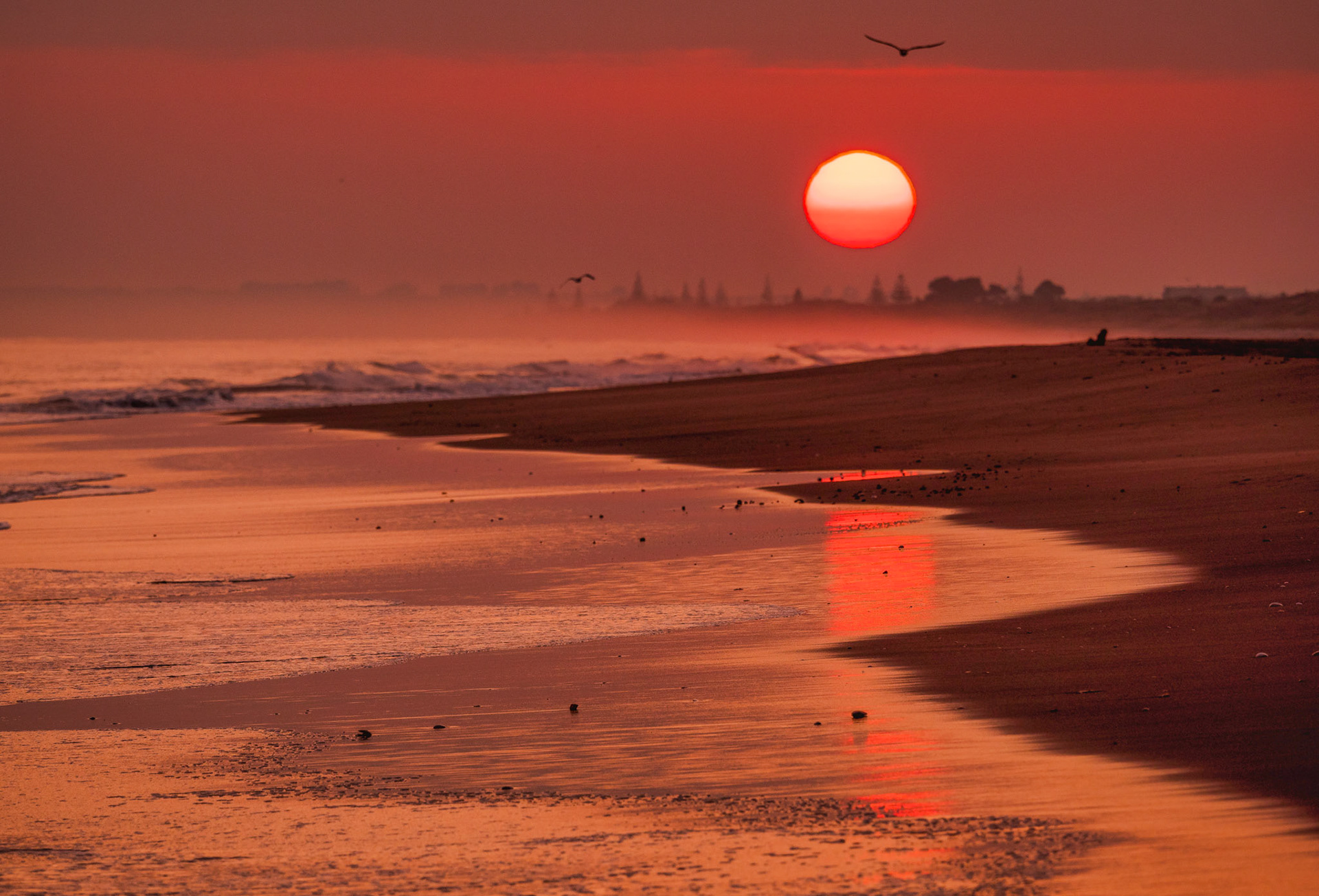 Papamoa Beach Sunrise PB280045