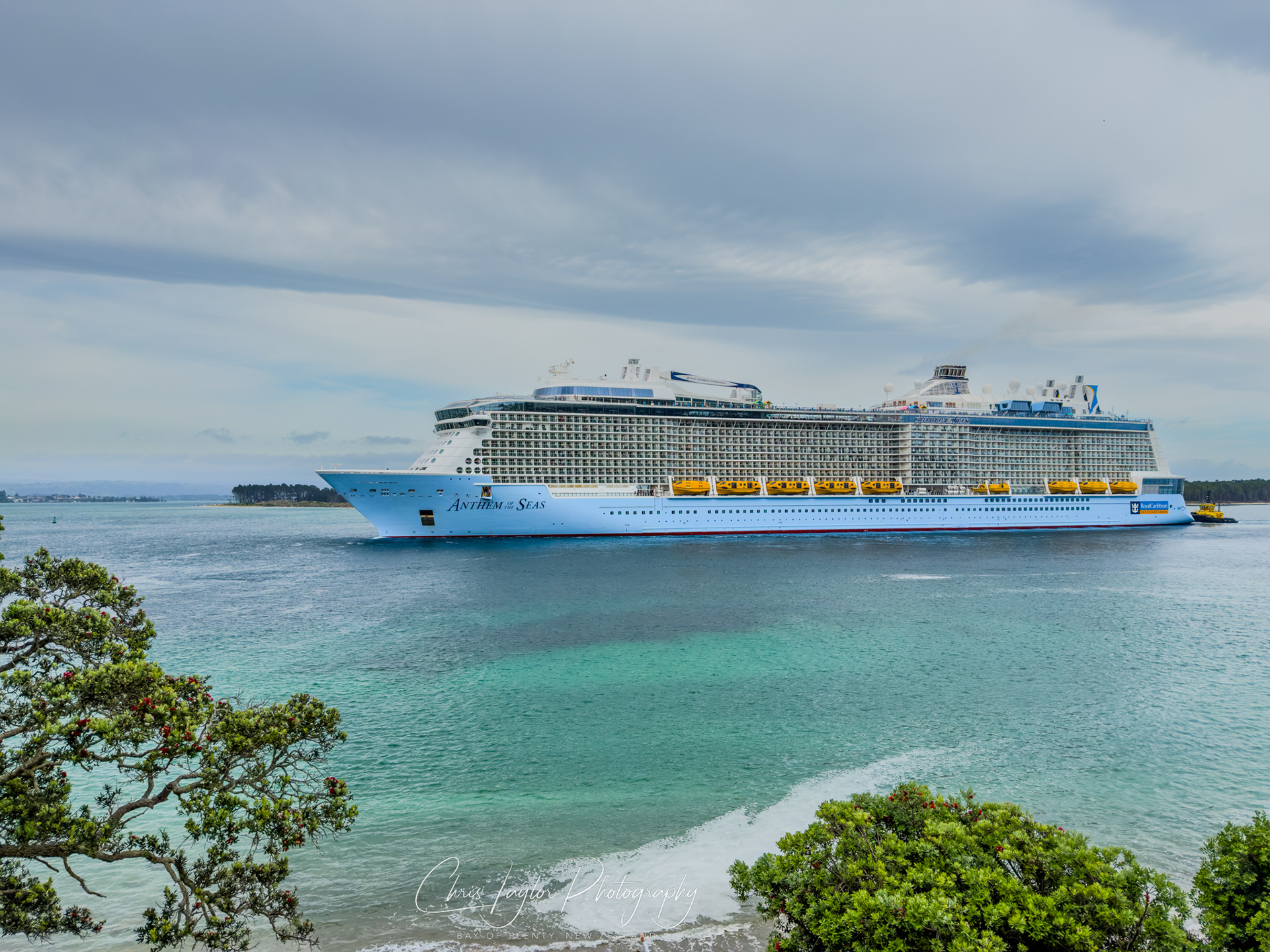 Anthem Of The Seas 12/2025 IMG_7689