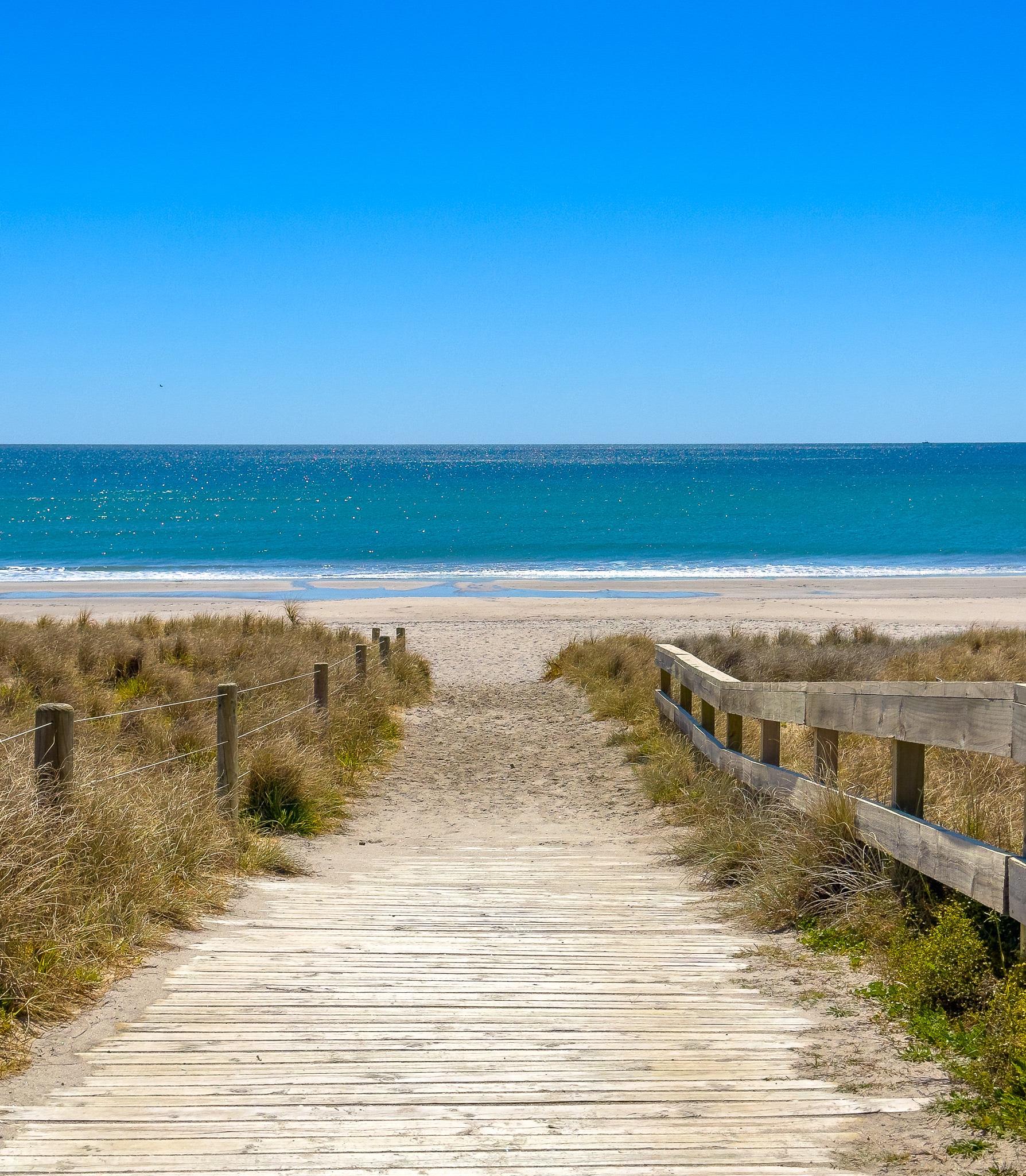 IMG_8643 Papamoa Beach