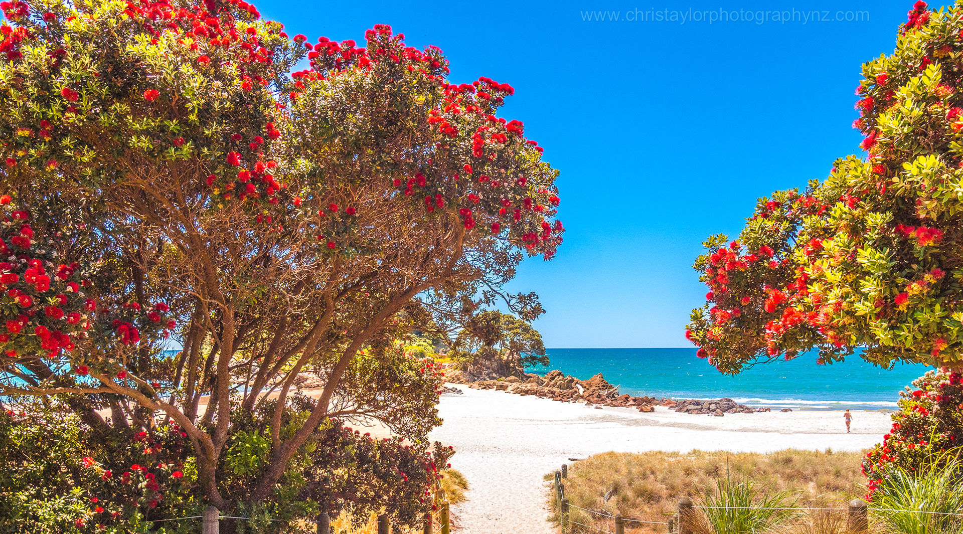 That summertime feeling (2) Mount Maunganui Beach PB2300018