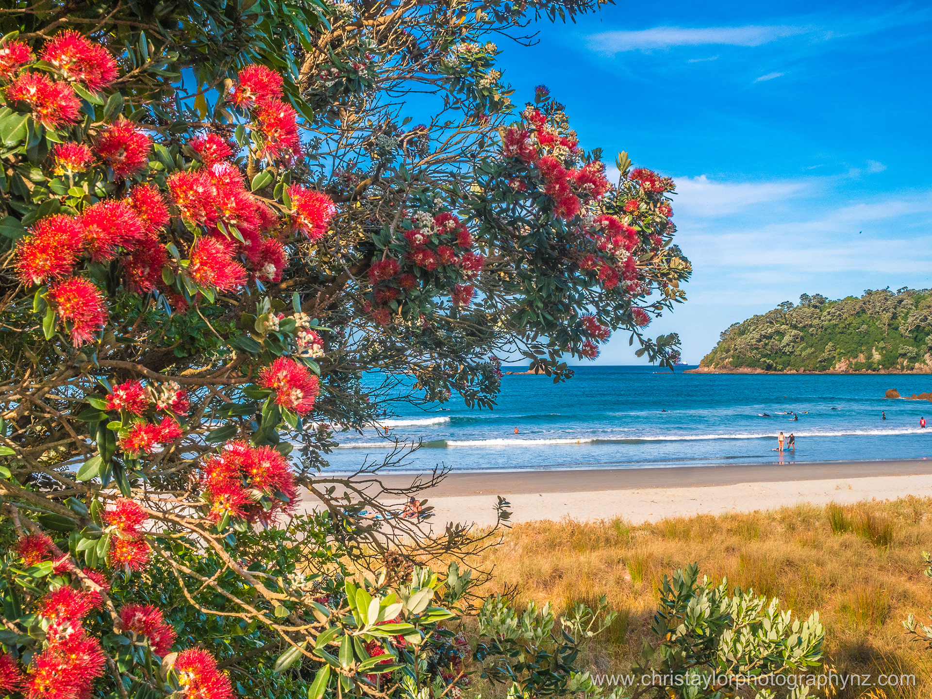 That summertime feeling. Mount Maunganui Beach PB230006