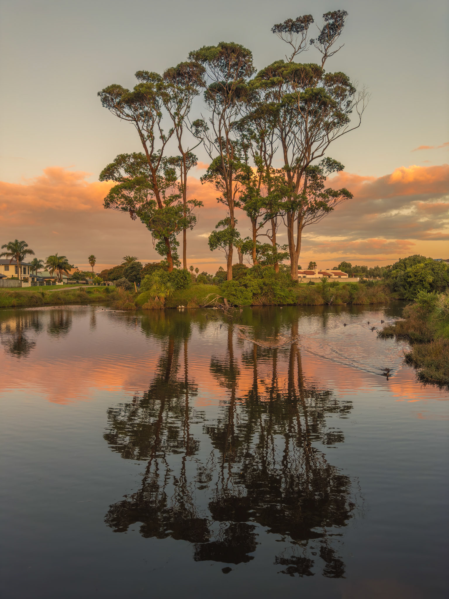 Papamoa Beach Sunset IMG_3706
