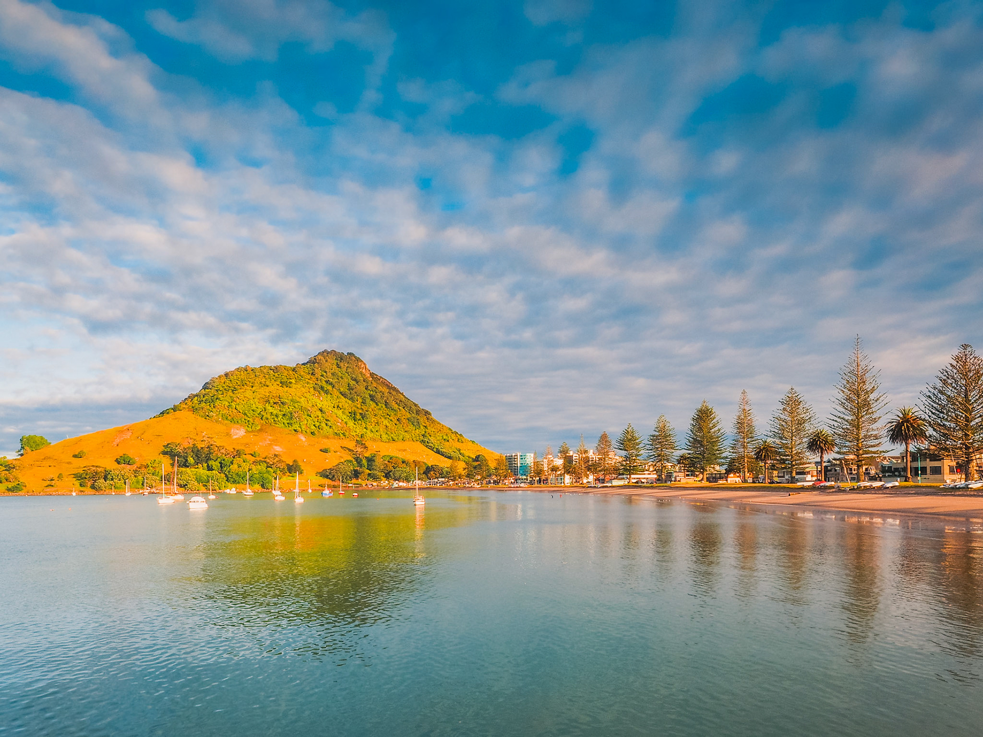 Pilot Bay, Mount Maunganui PB192421