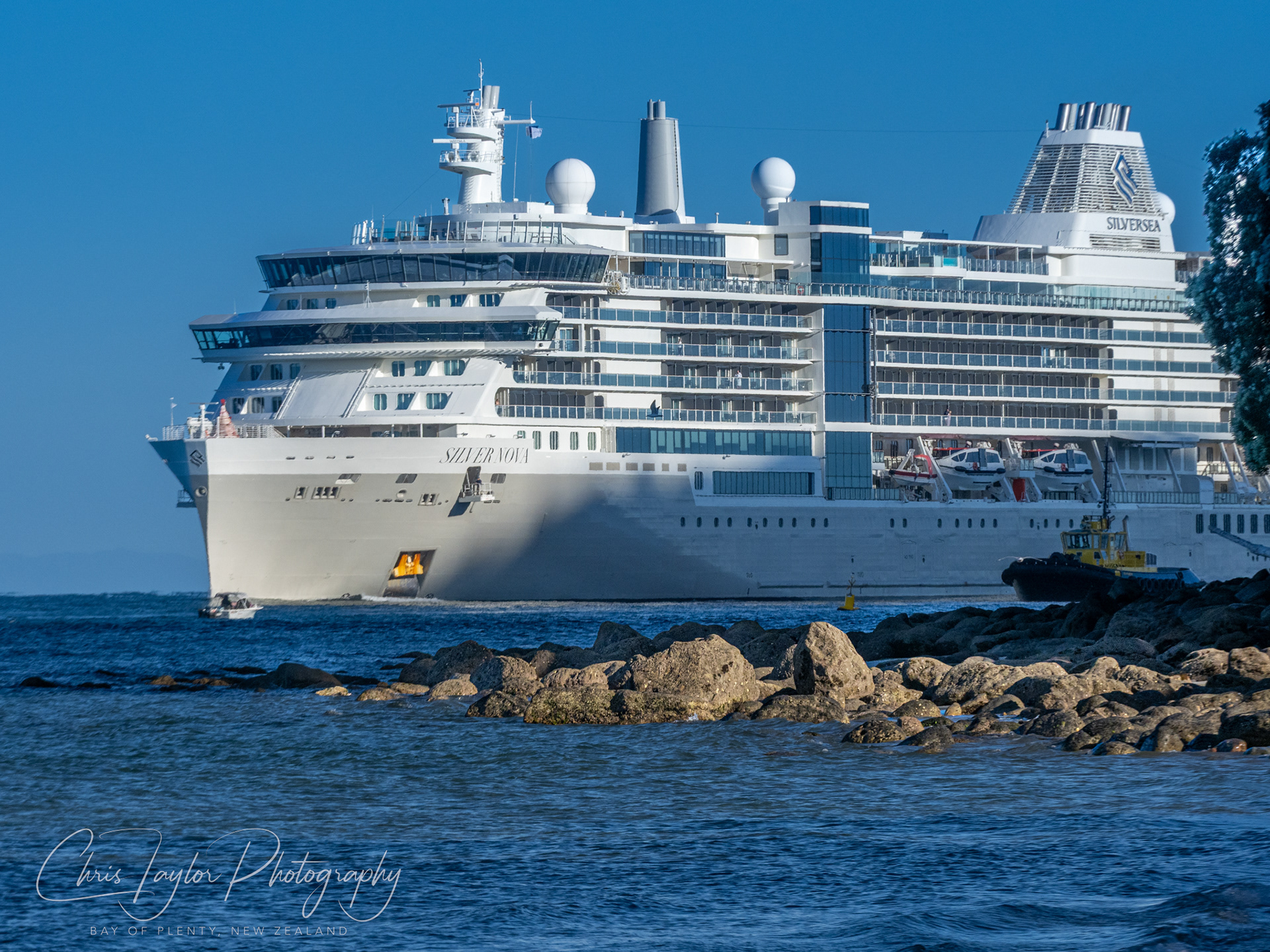 Silver Nova 12/25 _C130169