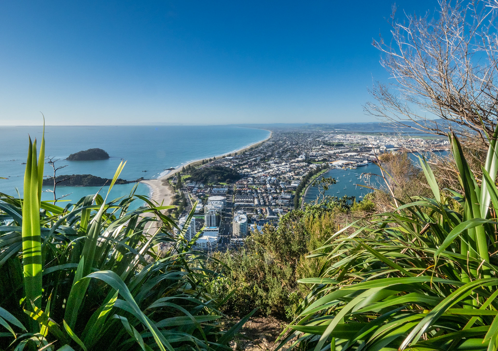 Beautiful Mount Maunganui from Mauao P5230009