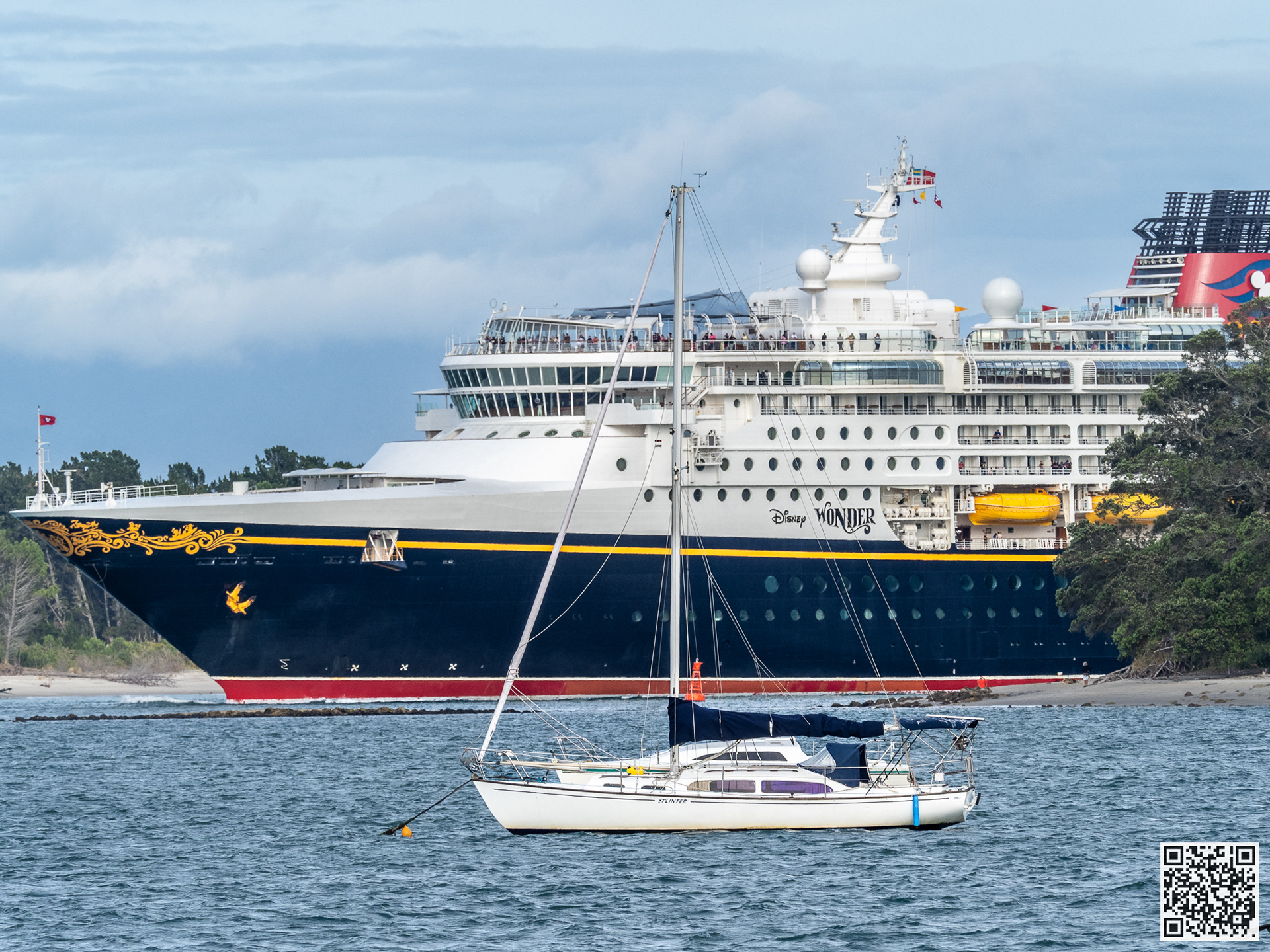 Disney Wonder PC100031