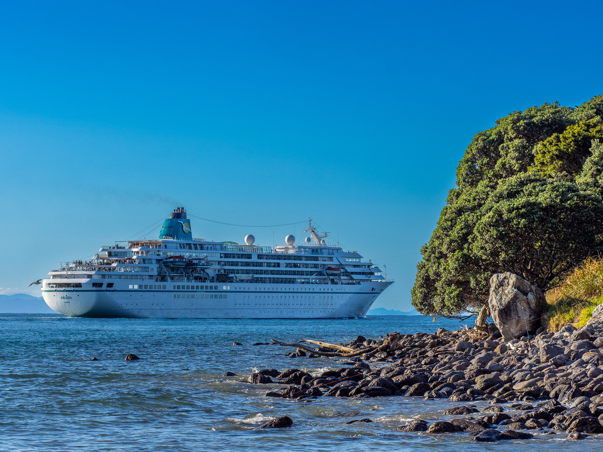 Amadea _2120097