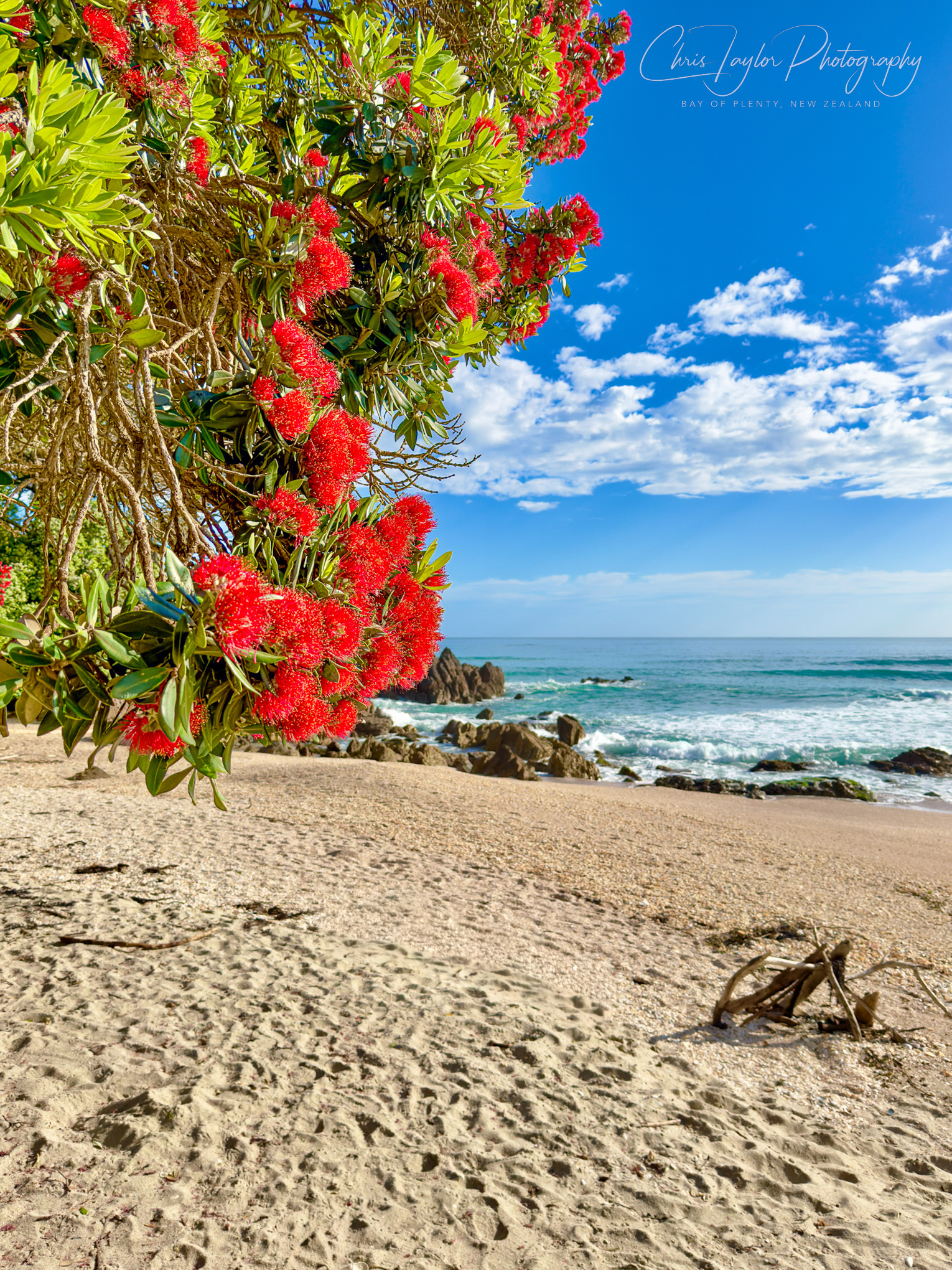 IMG_7604 Summer, Mount Maunganui