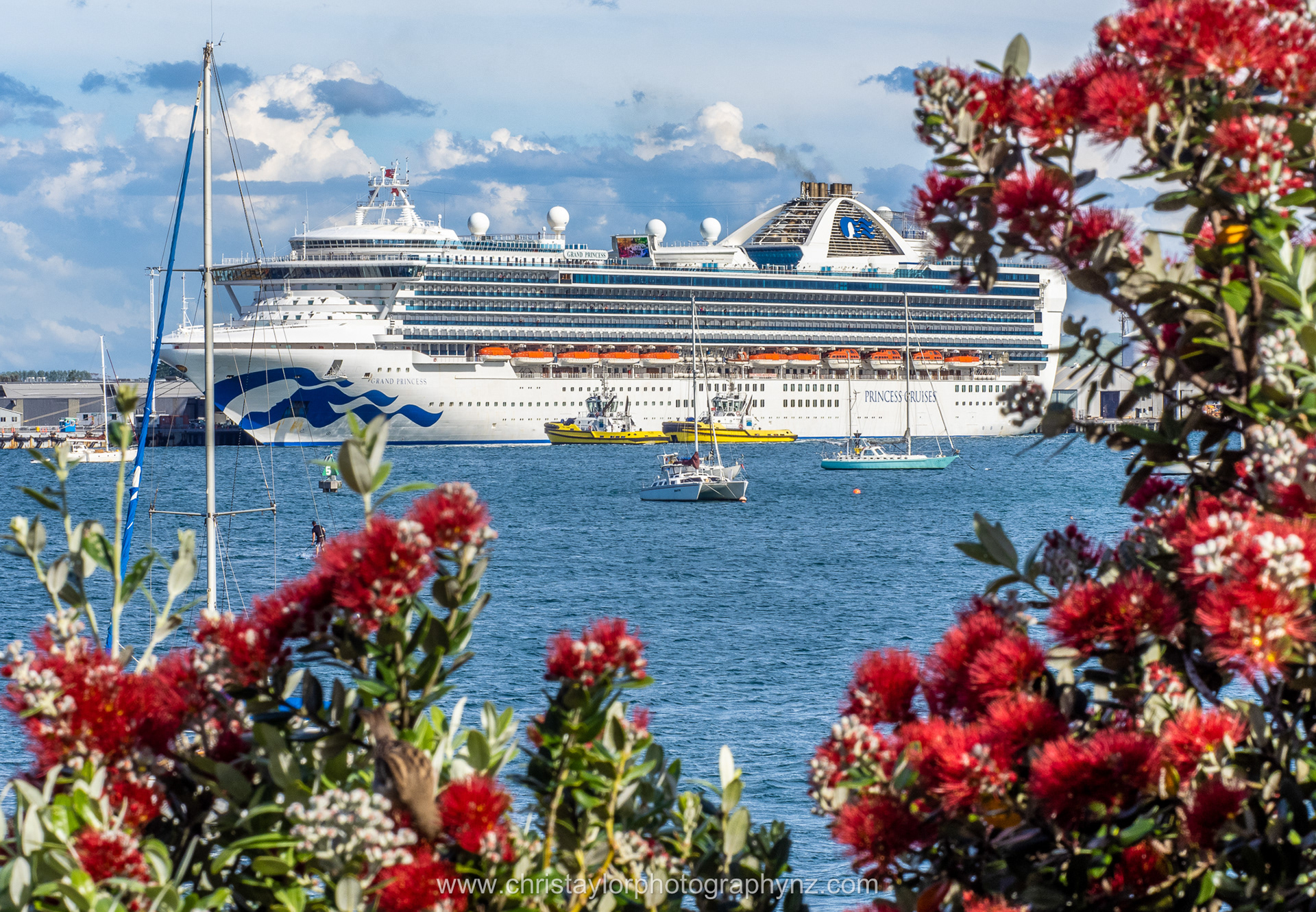 Grand Princess PB230002