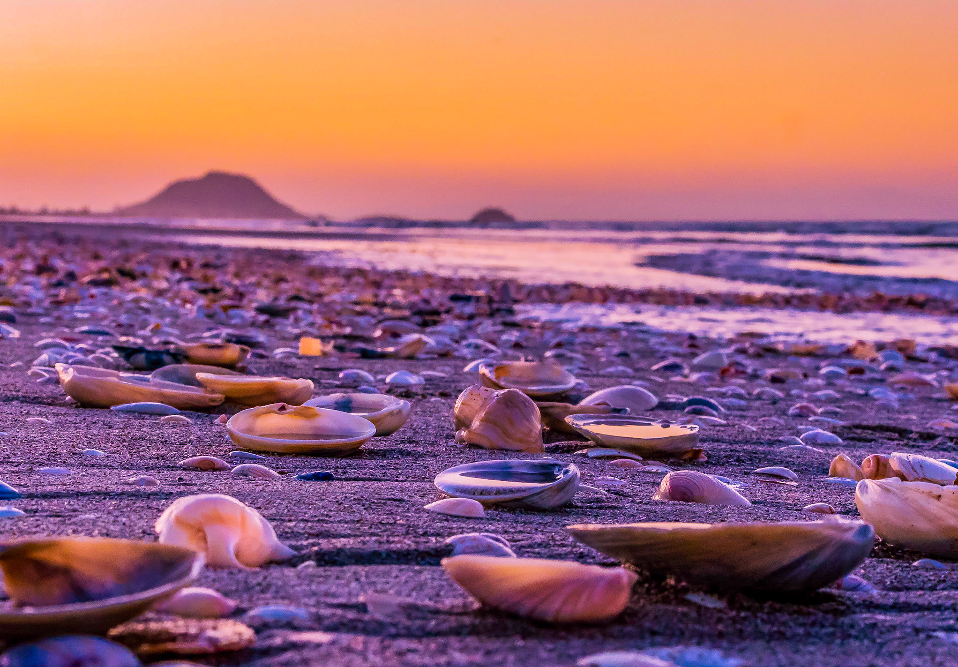 Papamoa Beach Sunrise P9067733