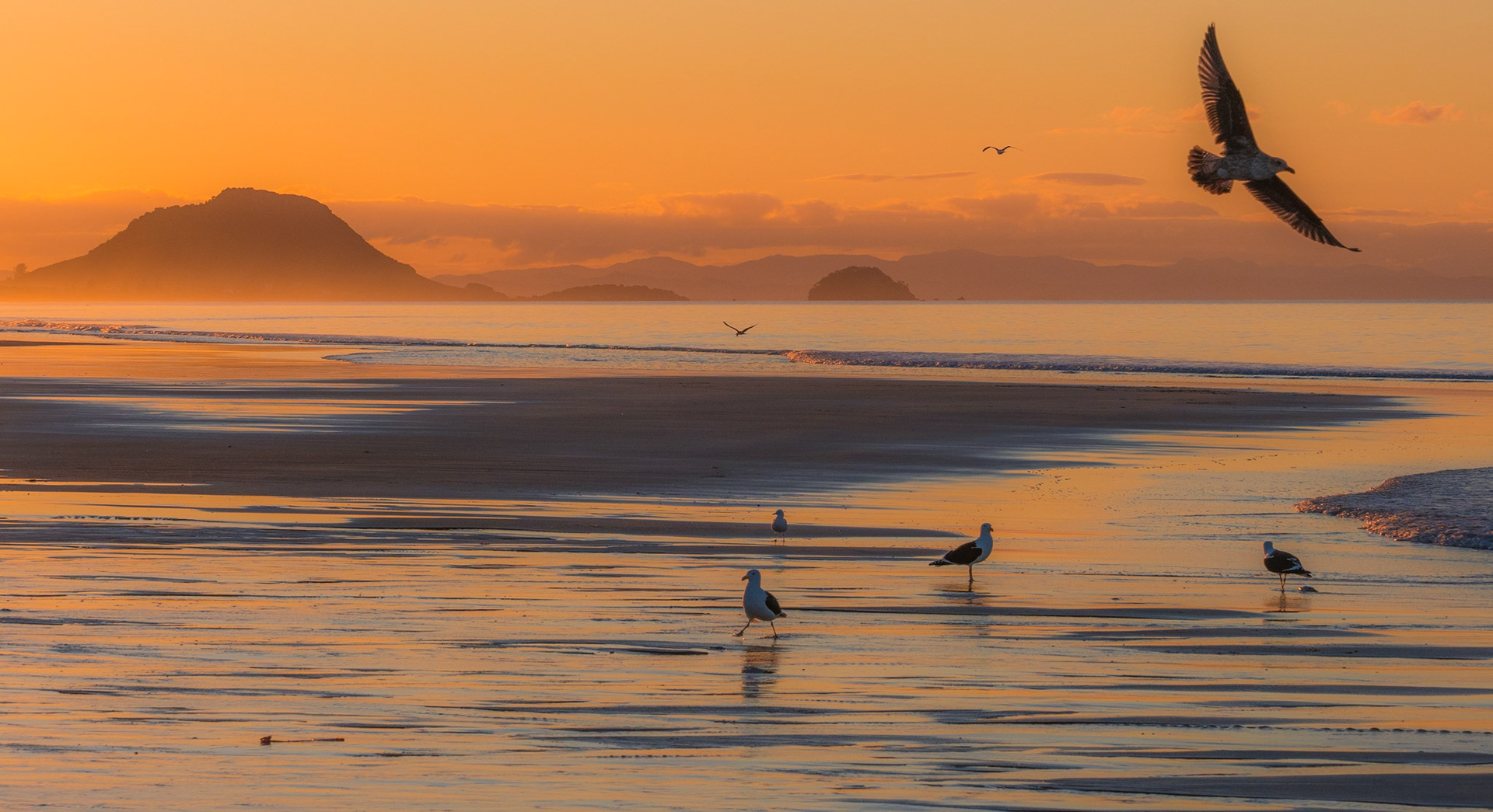 Papamoa Beach Sunset P7260018