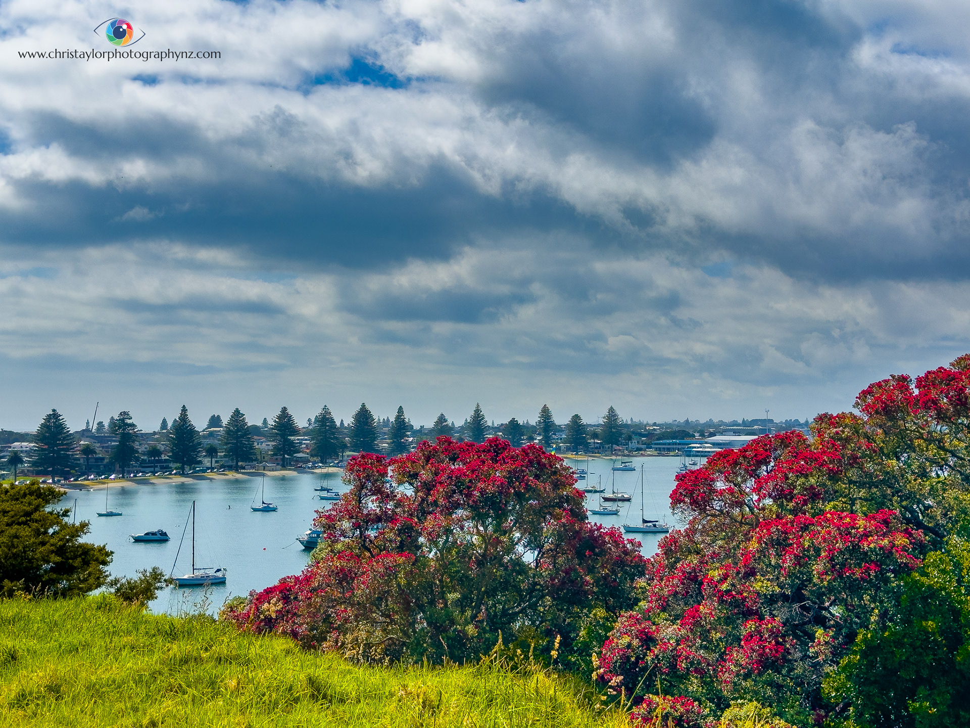 IMG_9870 It's beginning to look lot like Christmas, Mount Maunganui.