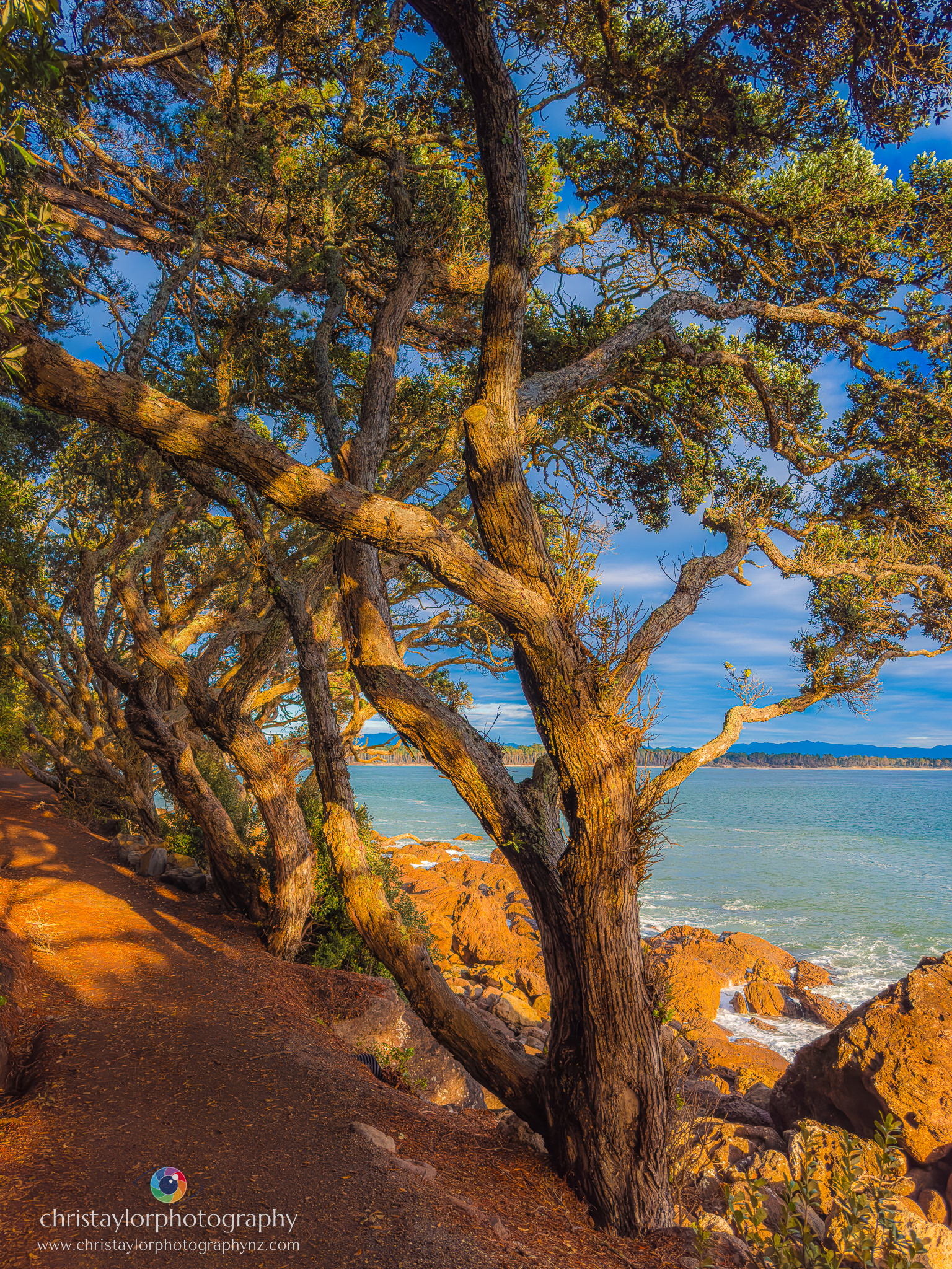Mauao Base Track, Mount Maunganui IMG_1673