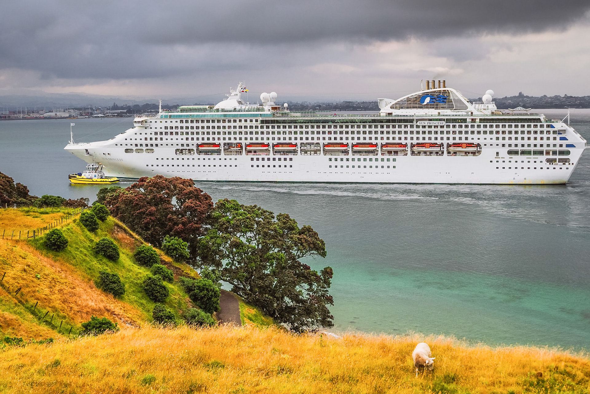 Sun Princess PC173029