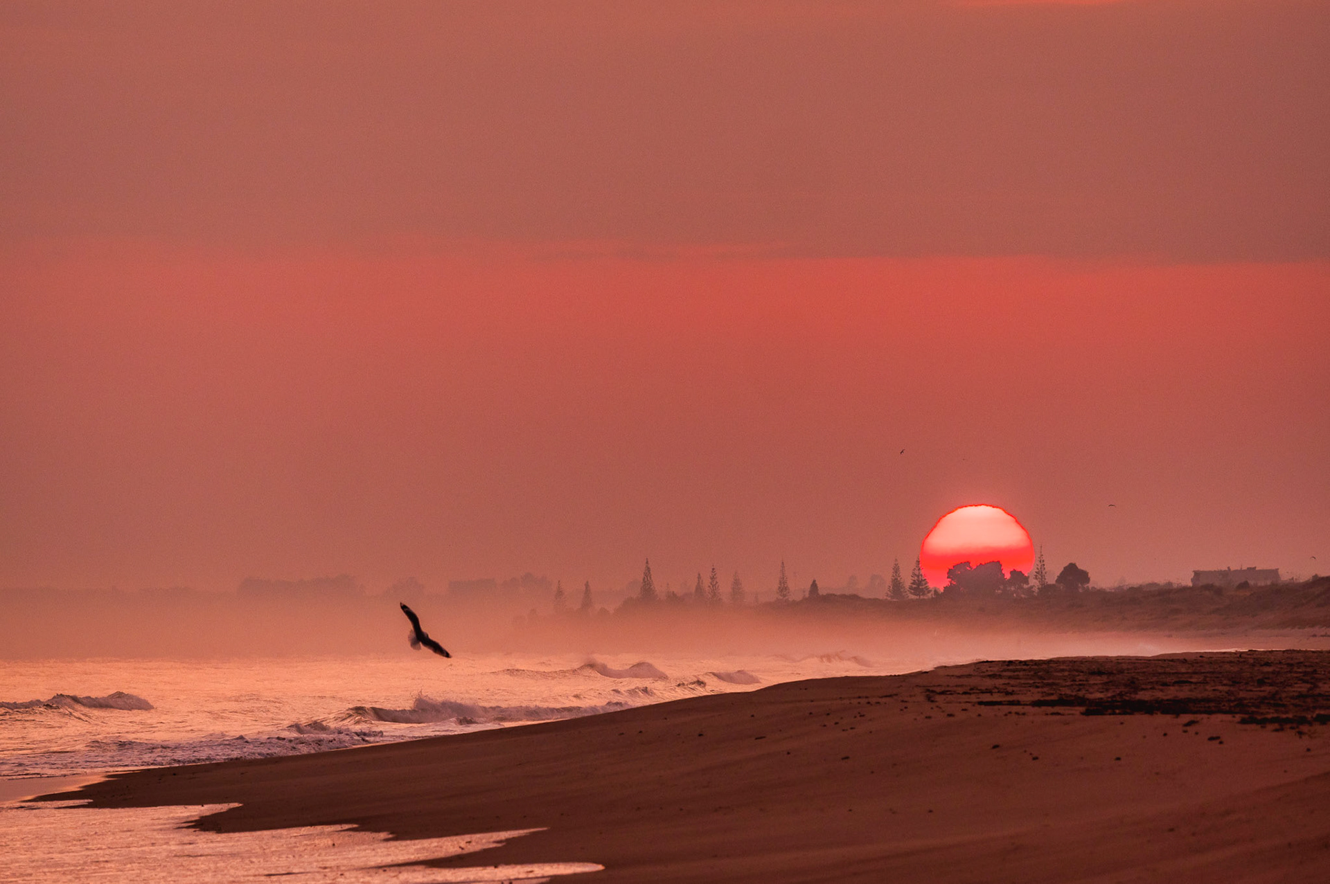 Papamoa Beach Sunrise PB280033