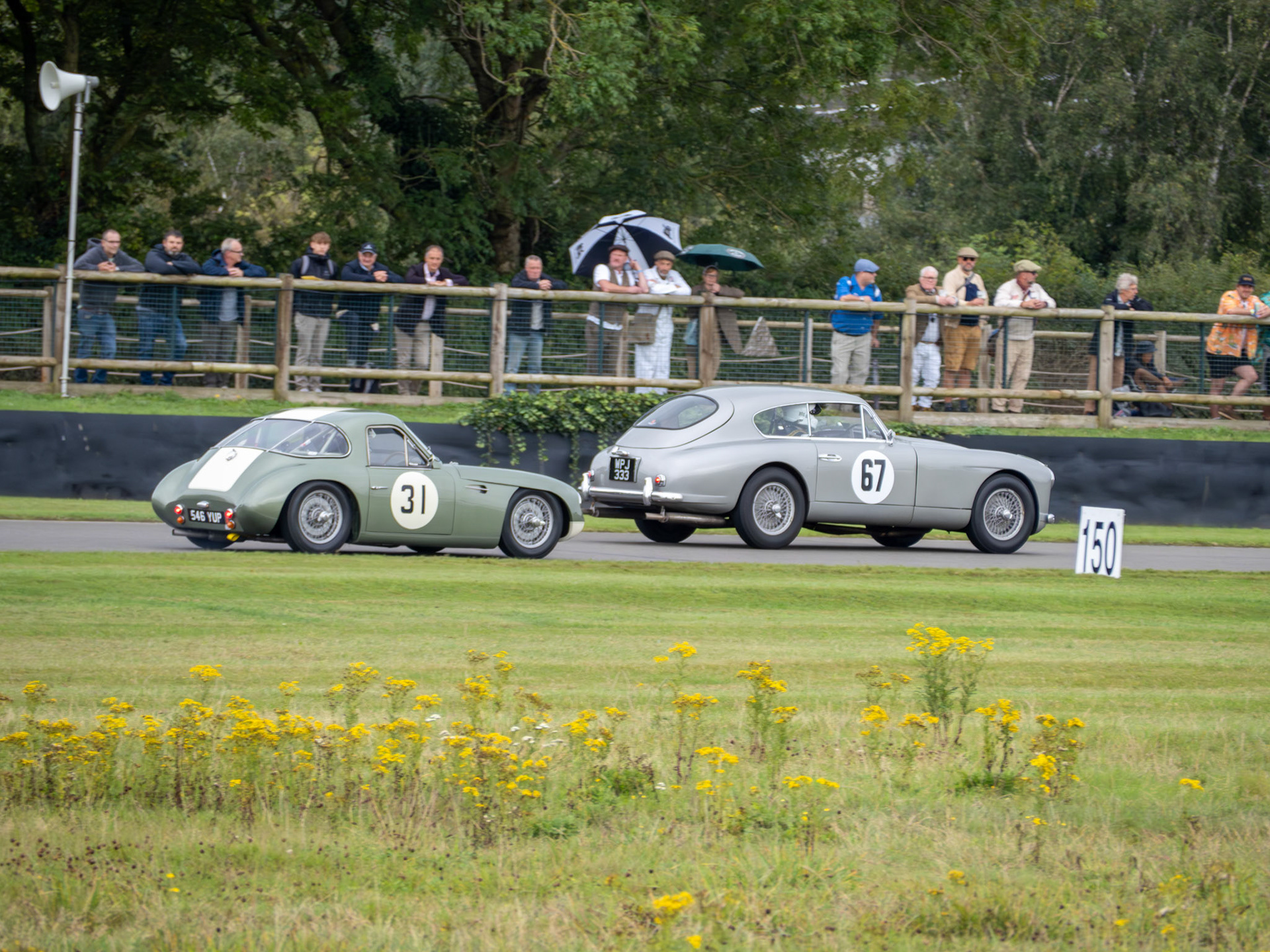 Goodwood Revival 2024