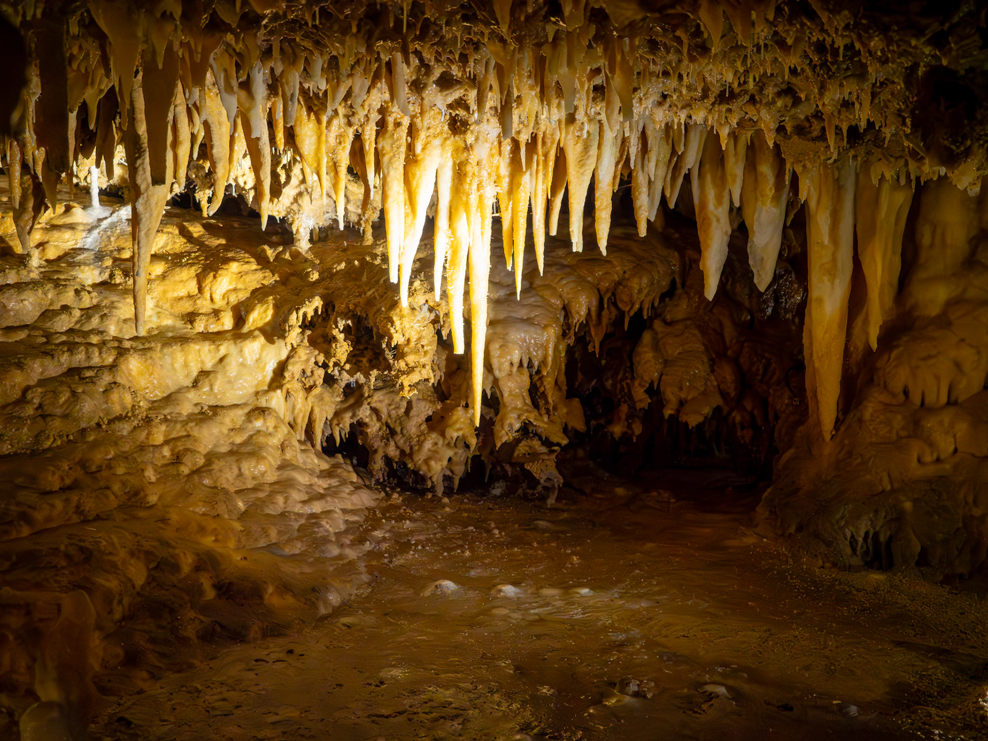 Grotte du Grand Roc