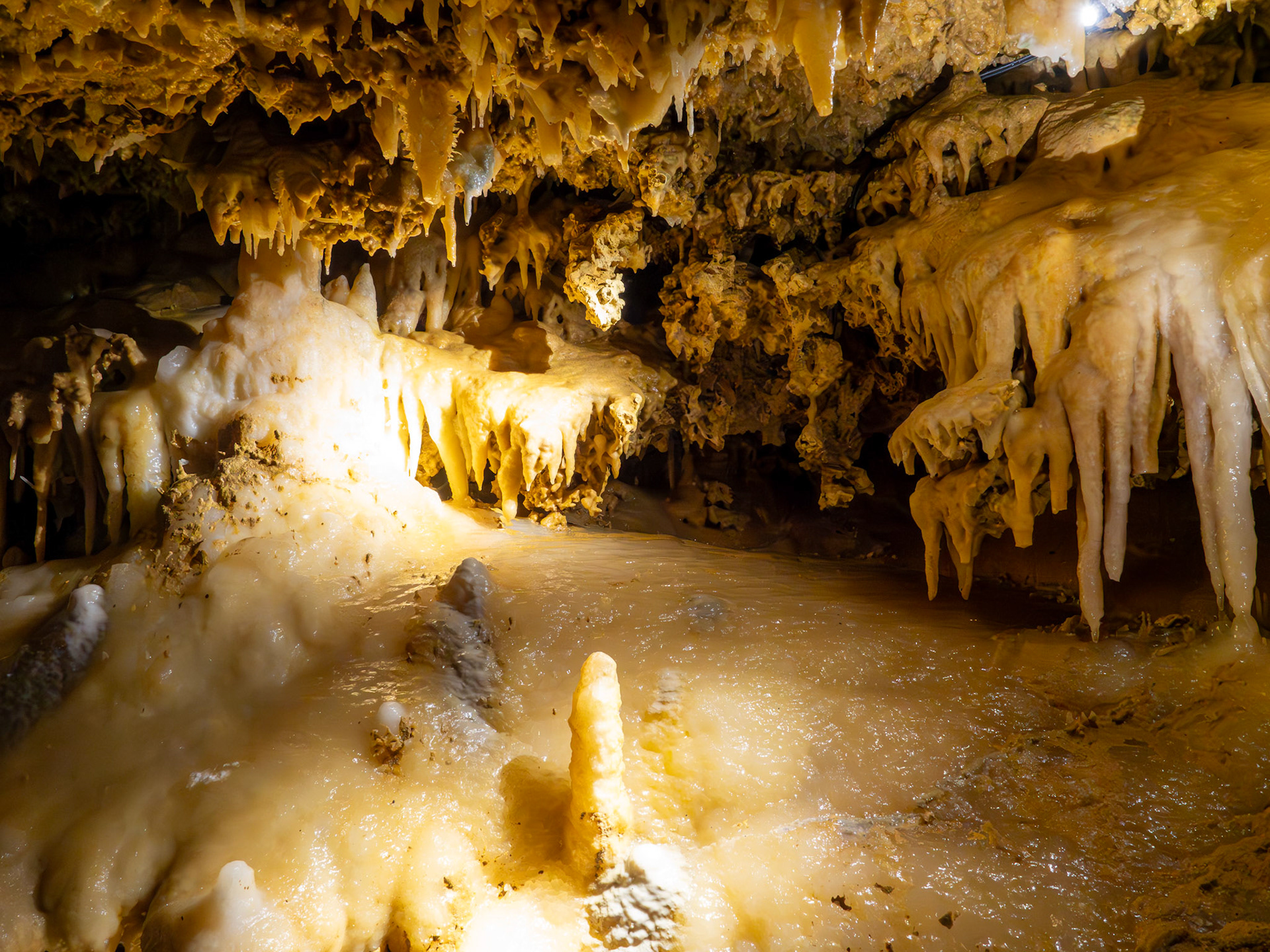 Grotte du Grand Roc