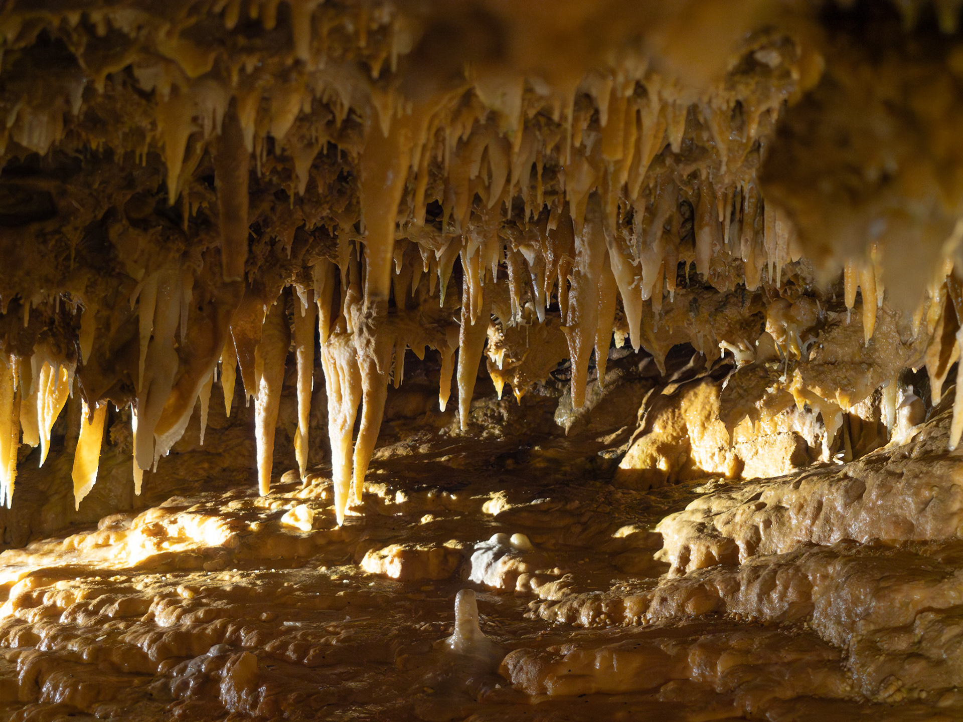 Grotte du Grand Roc