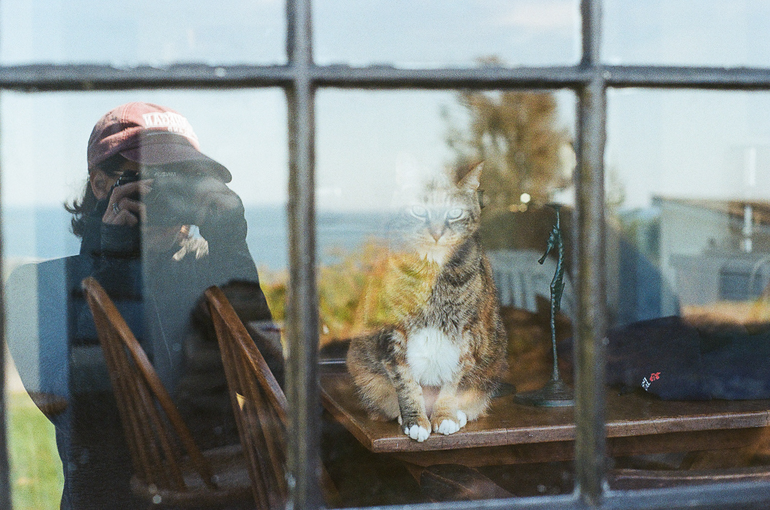 Photograph taken from outside a window of a cat sitting on a table, with the reflection of the photographer on the left side of the window
