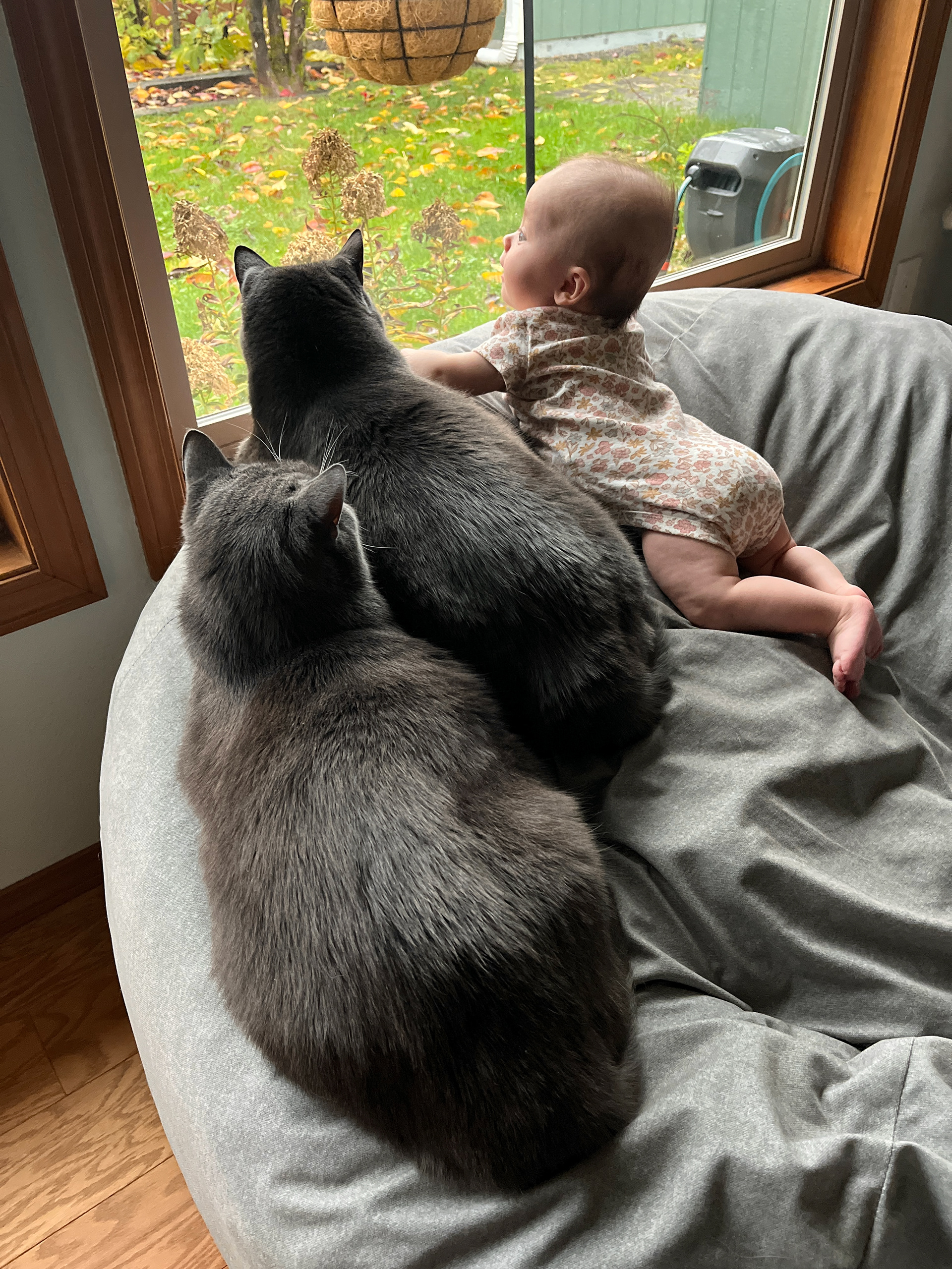 The monsters with Nora