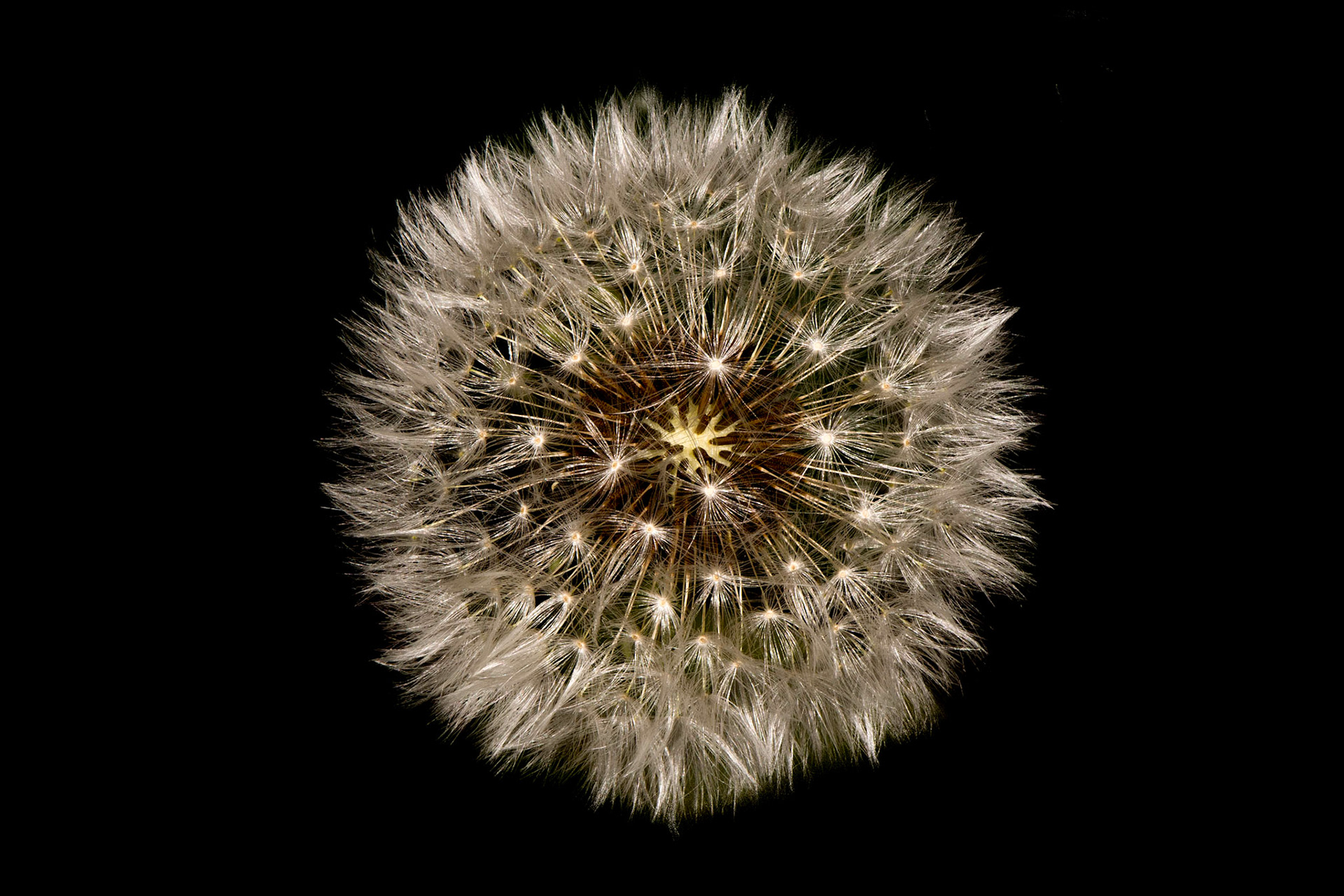 066
