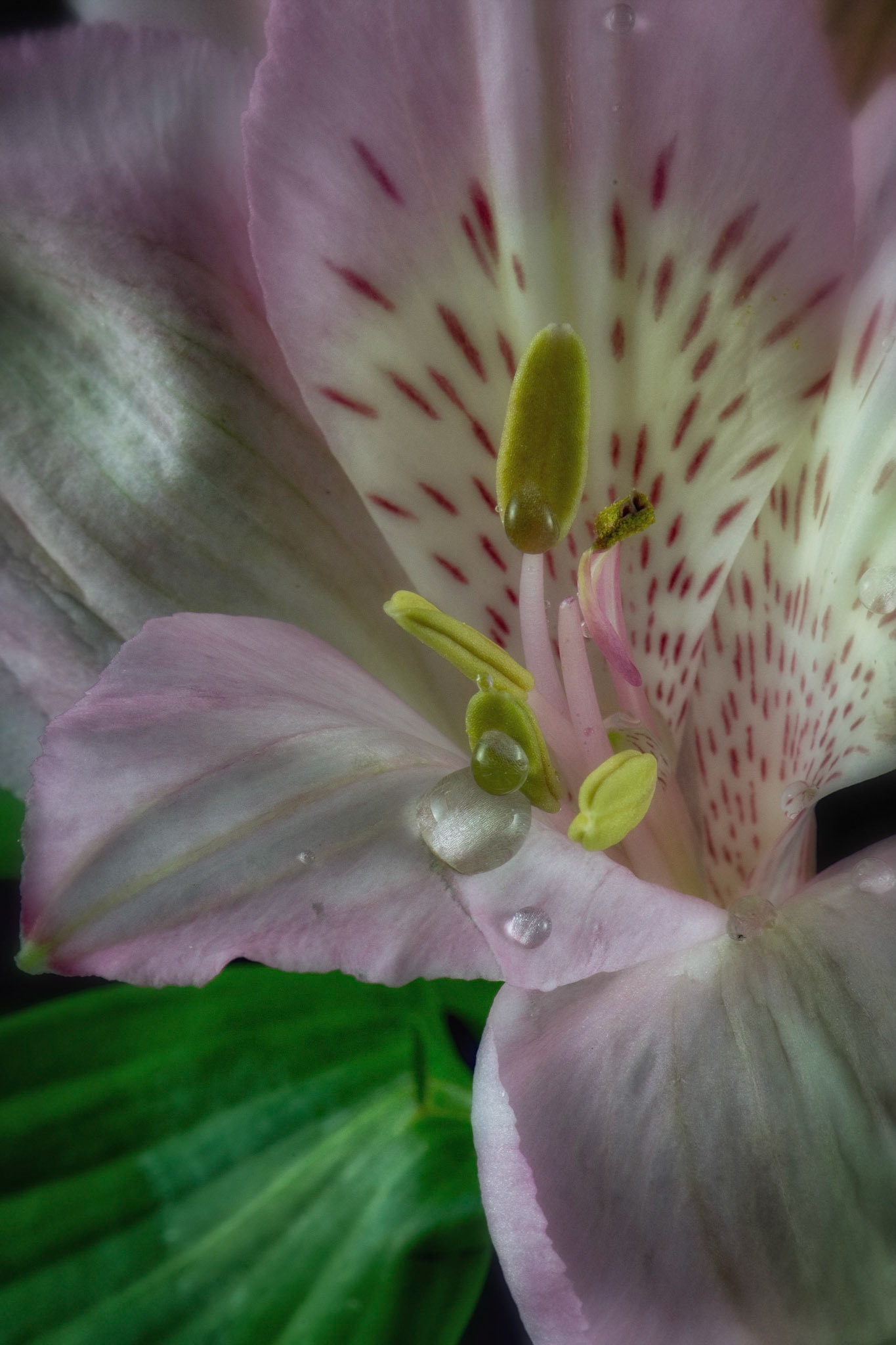 056