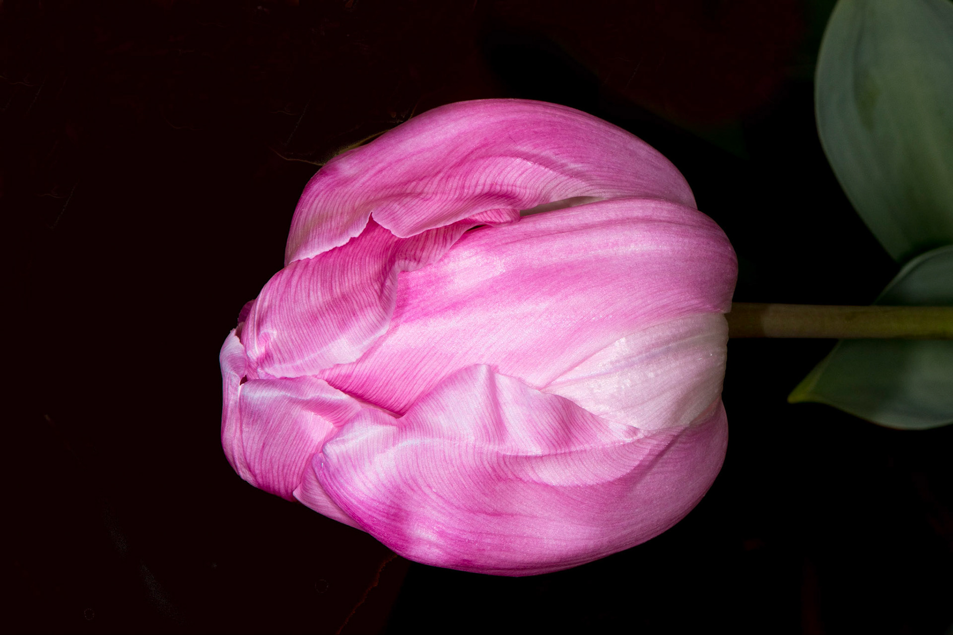 054