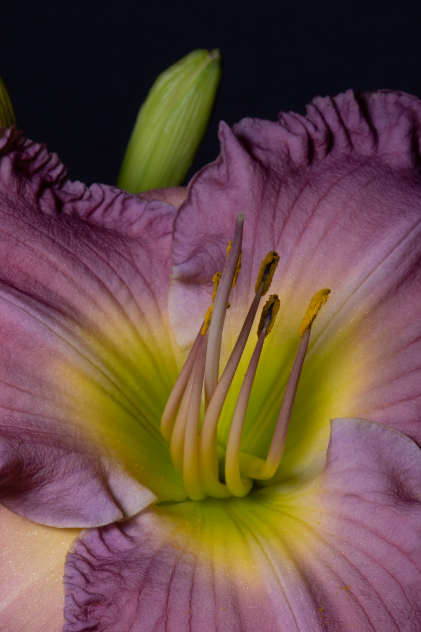 031