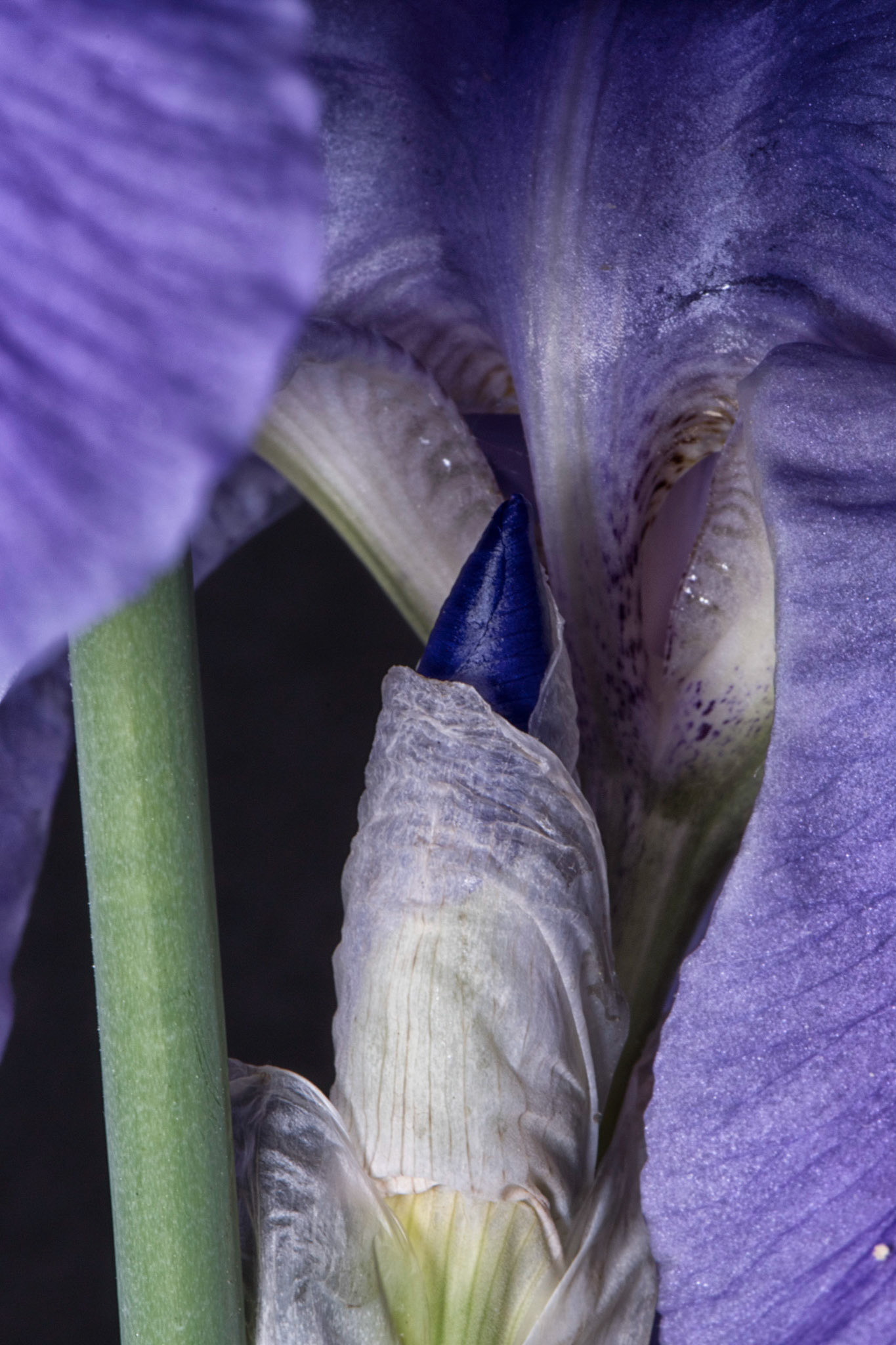 026