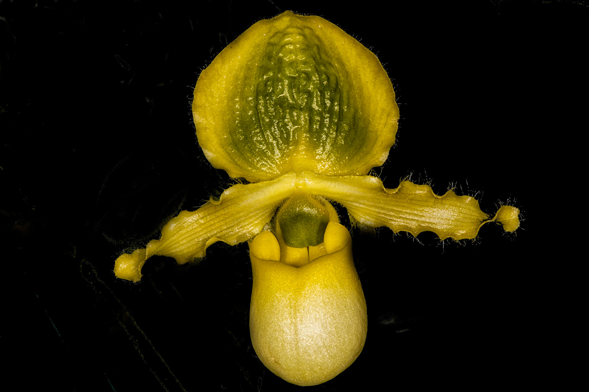 084