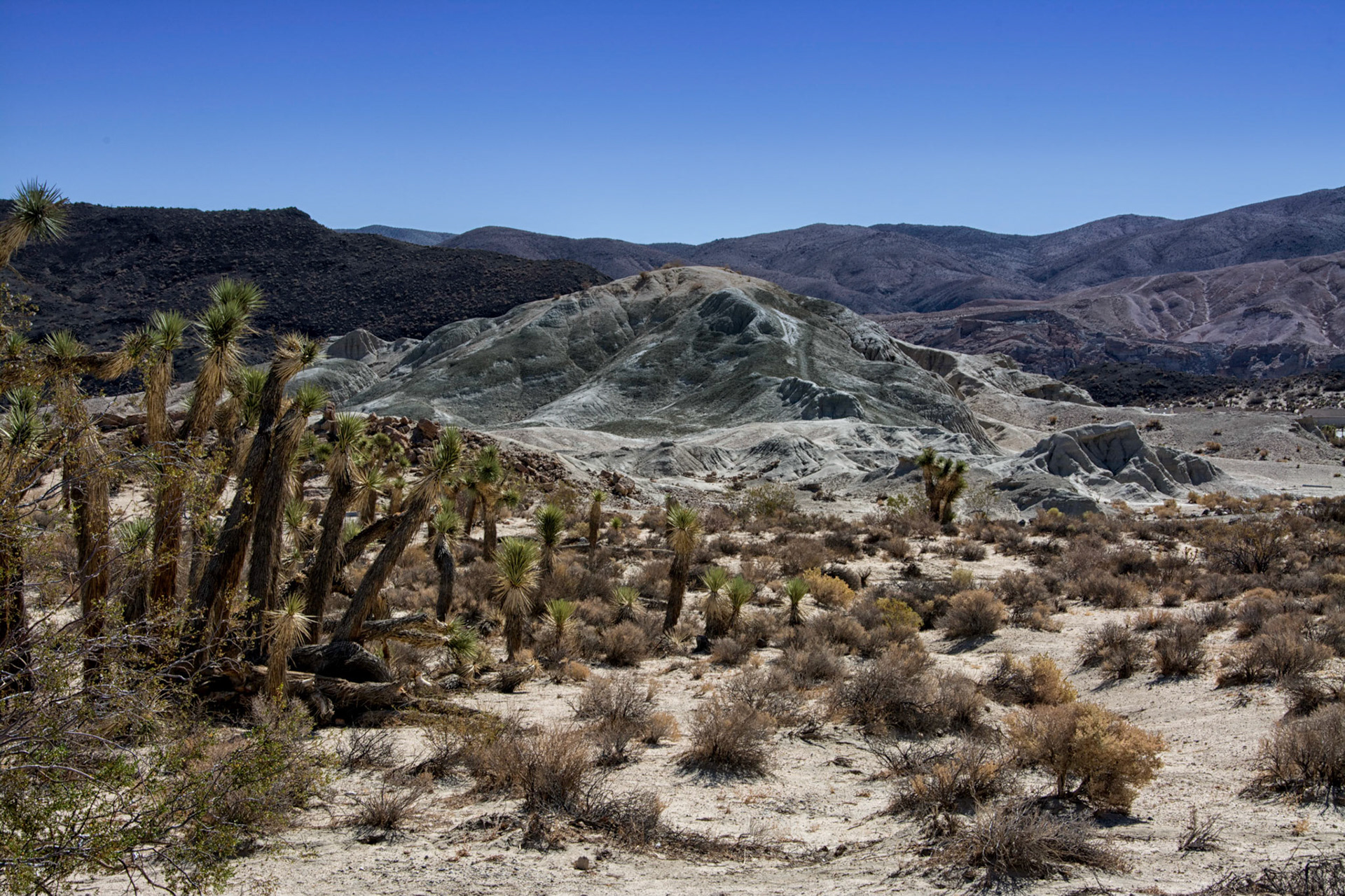 Red Rock Canyon, Ca.