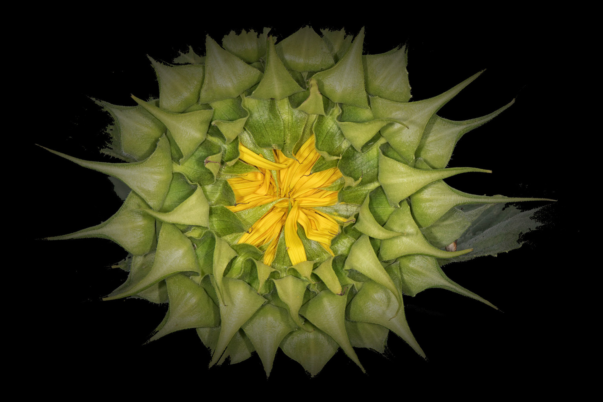 037