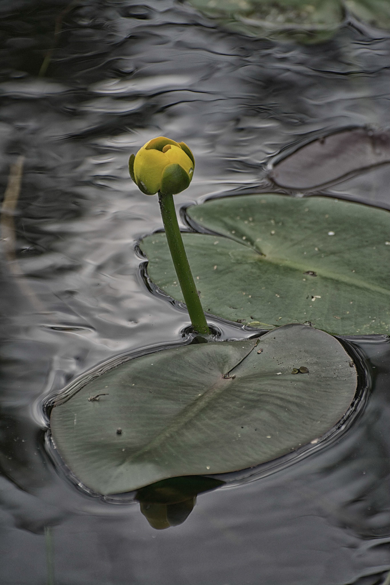 019