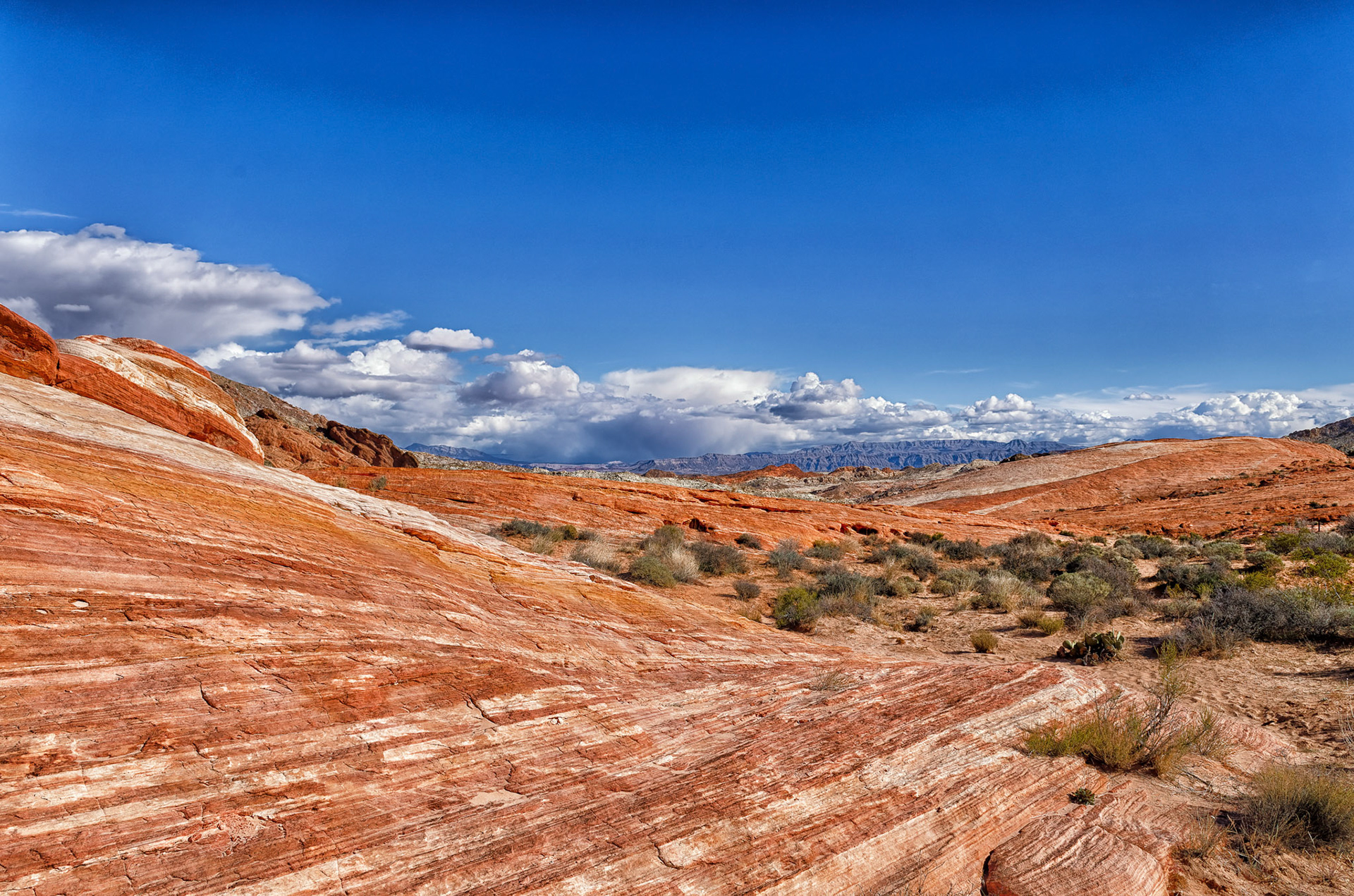 Valley of Fire State Park, Clark County, NV USA
