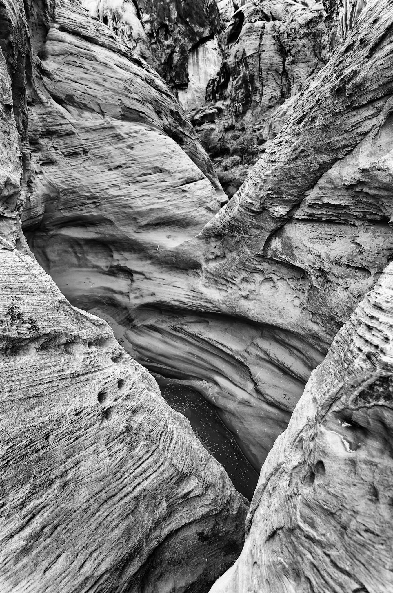 Valley of Fire State Park, Clark County, NV USA