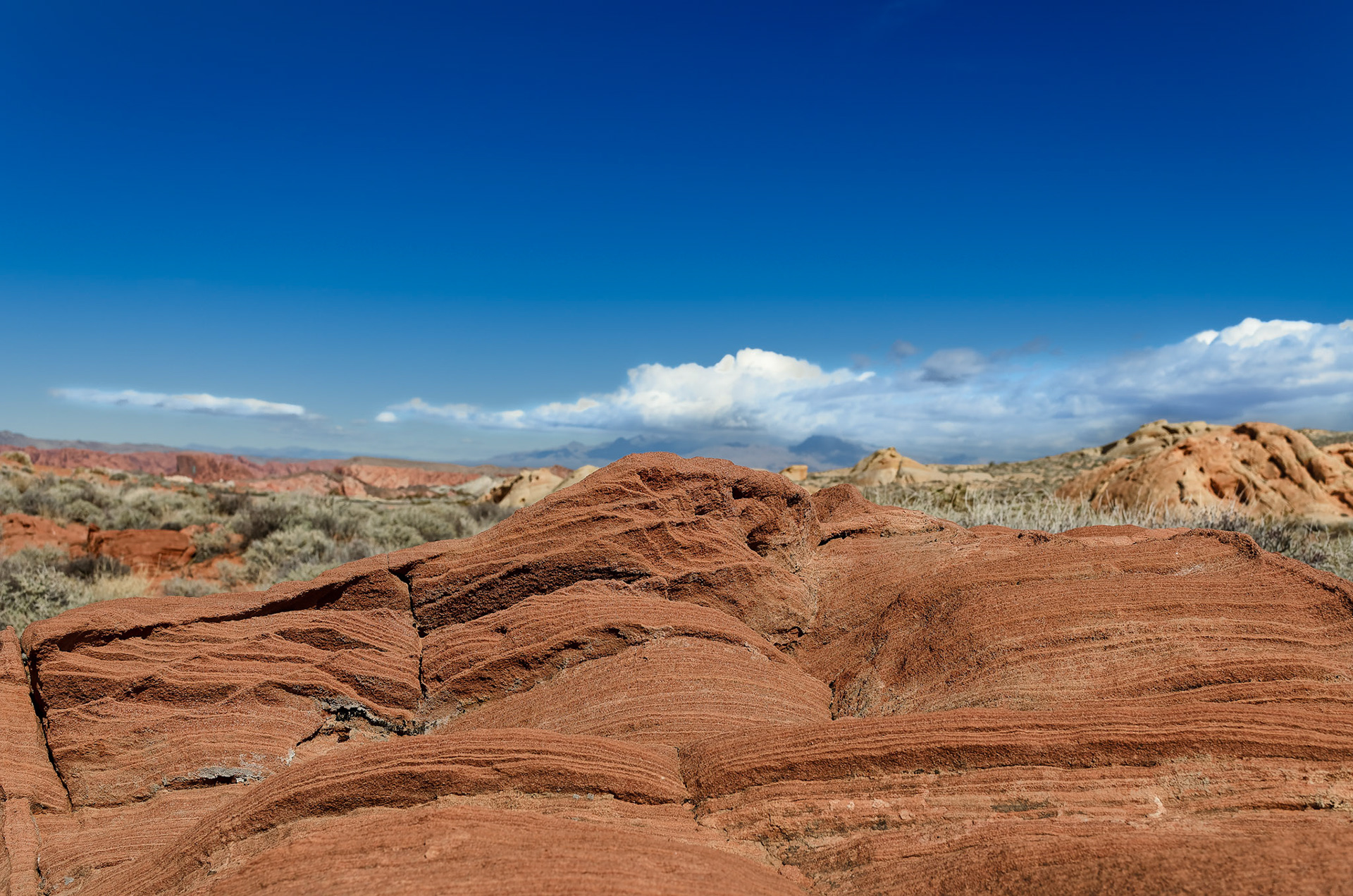 Valley of Fire State Park, Clark County, NV USA