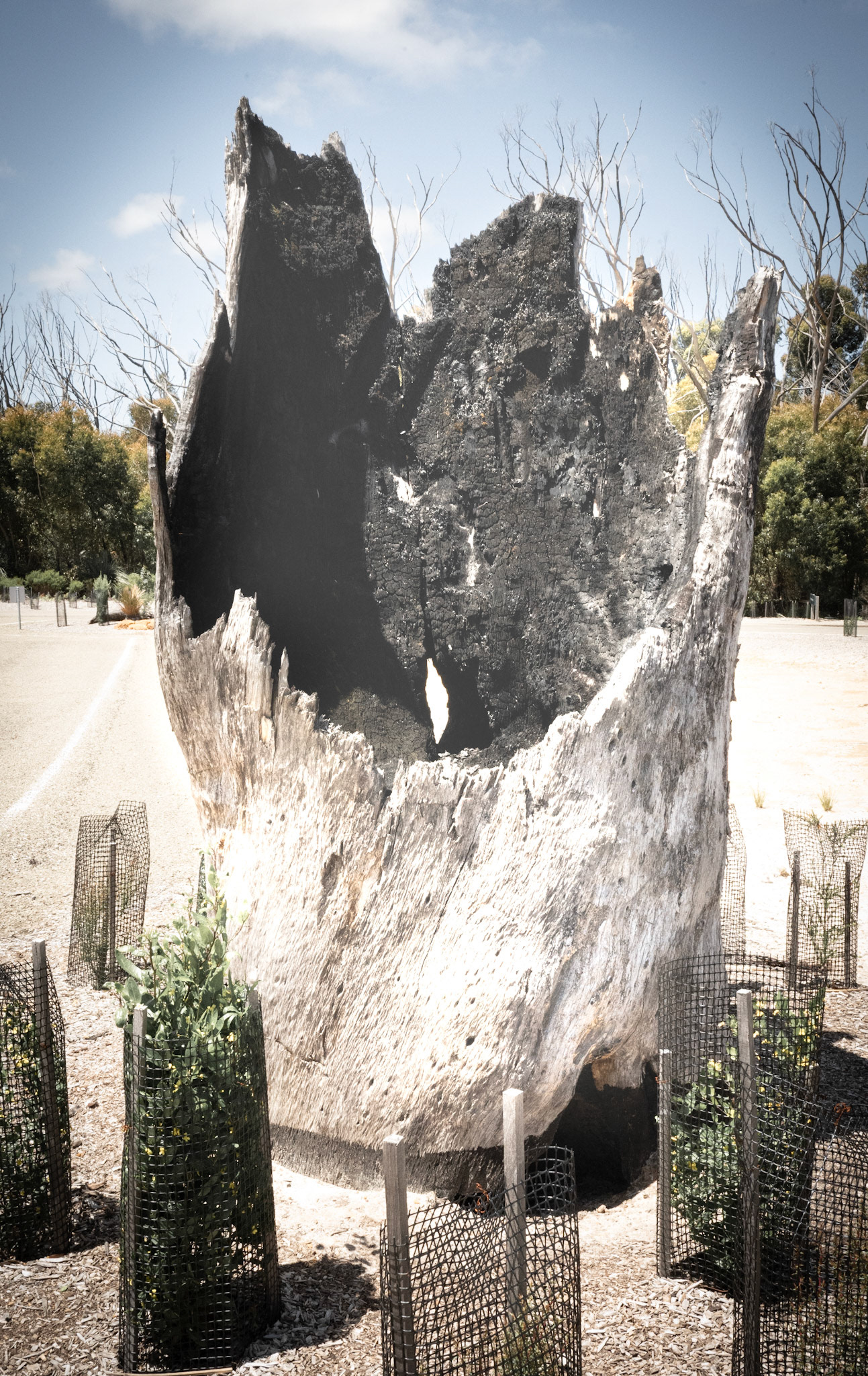 Flinders Chase visitor center 