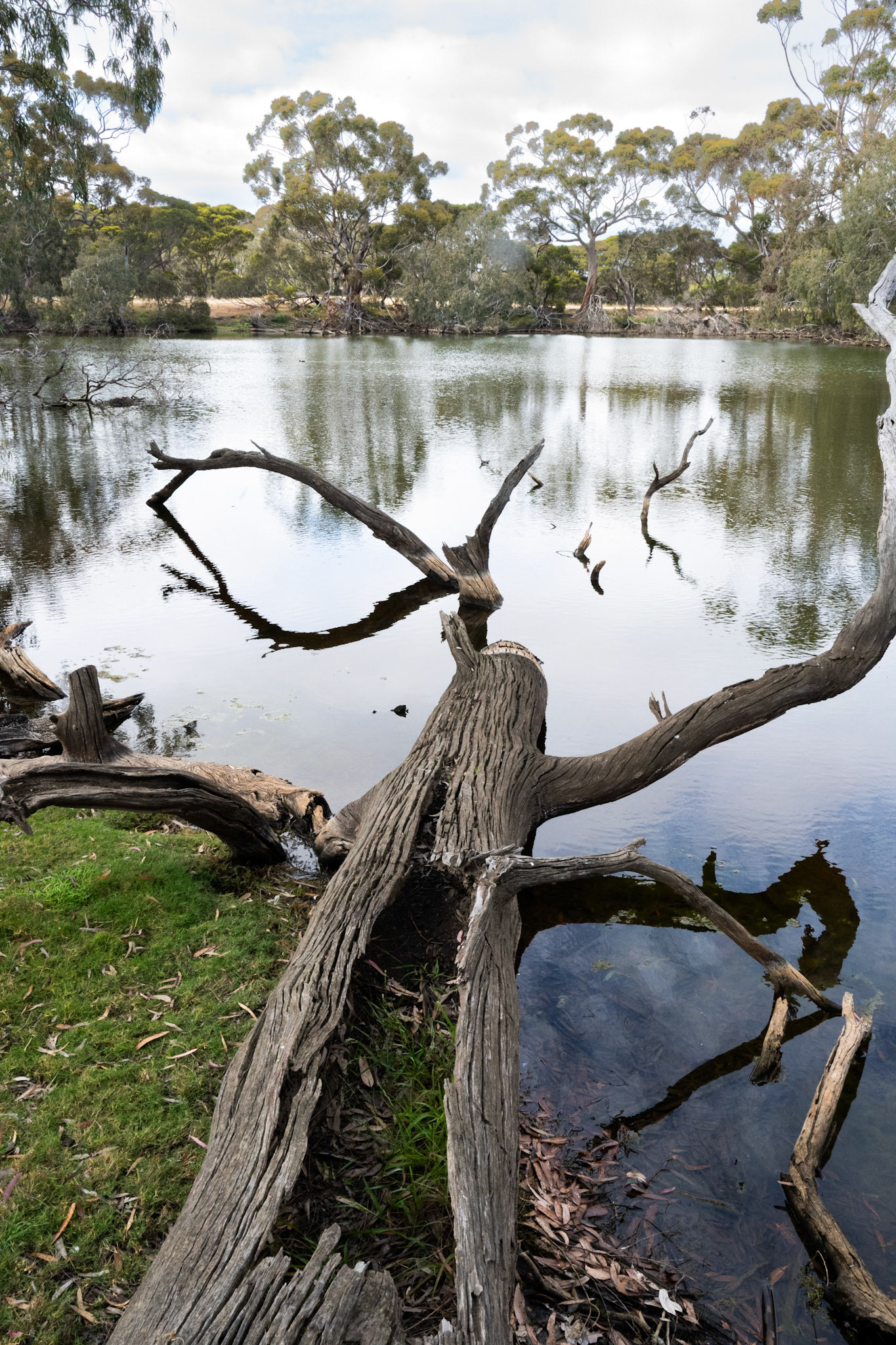 Duck Pong - Kangaroo Island