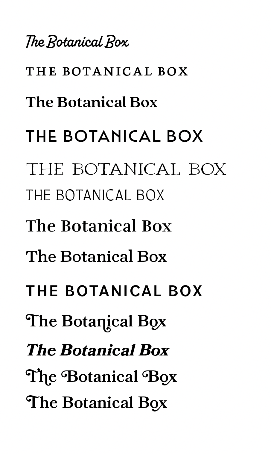 Type Study