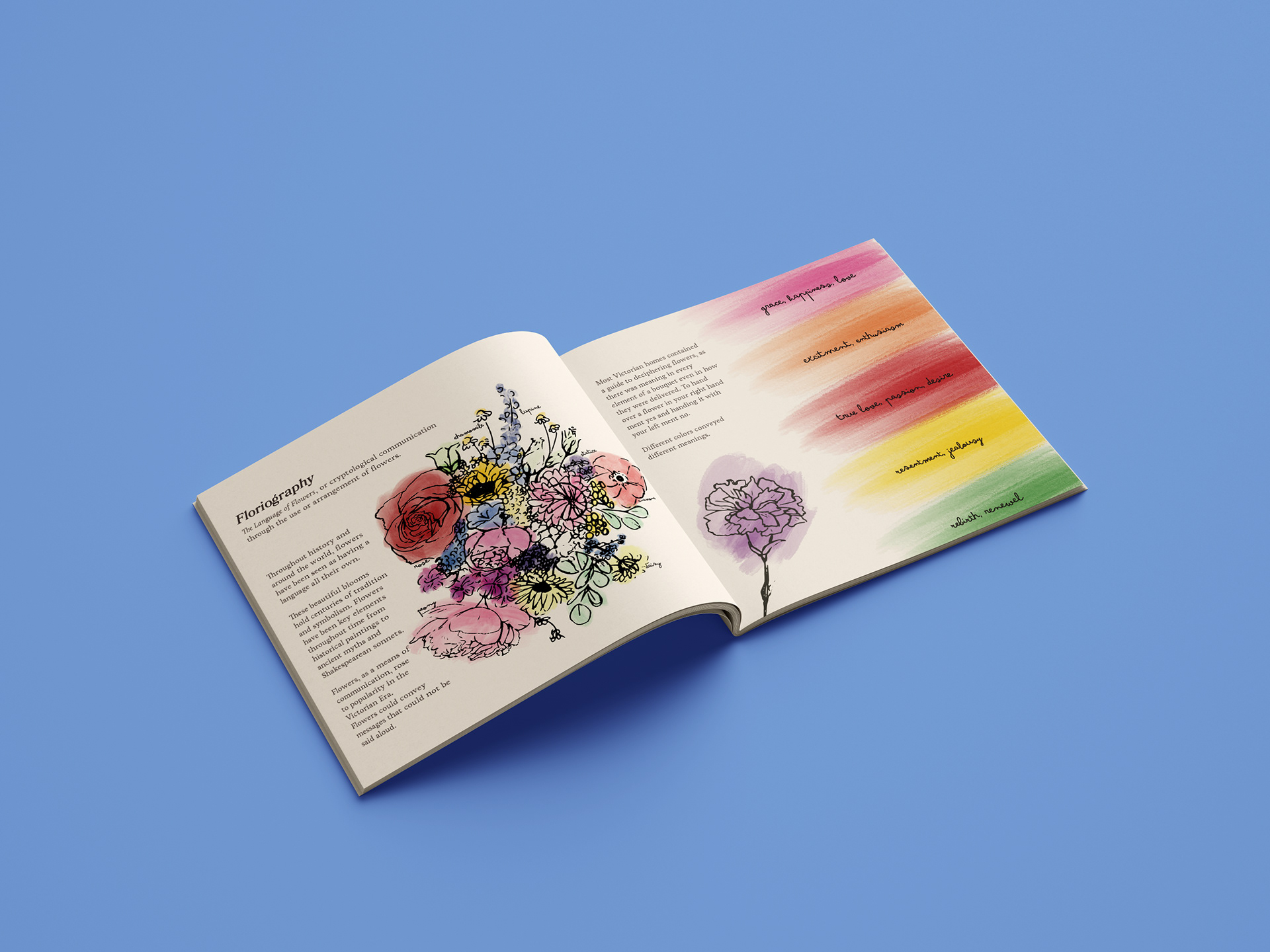 Introduction and Color Meanings