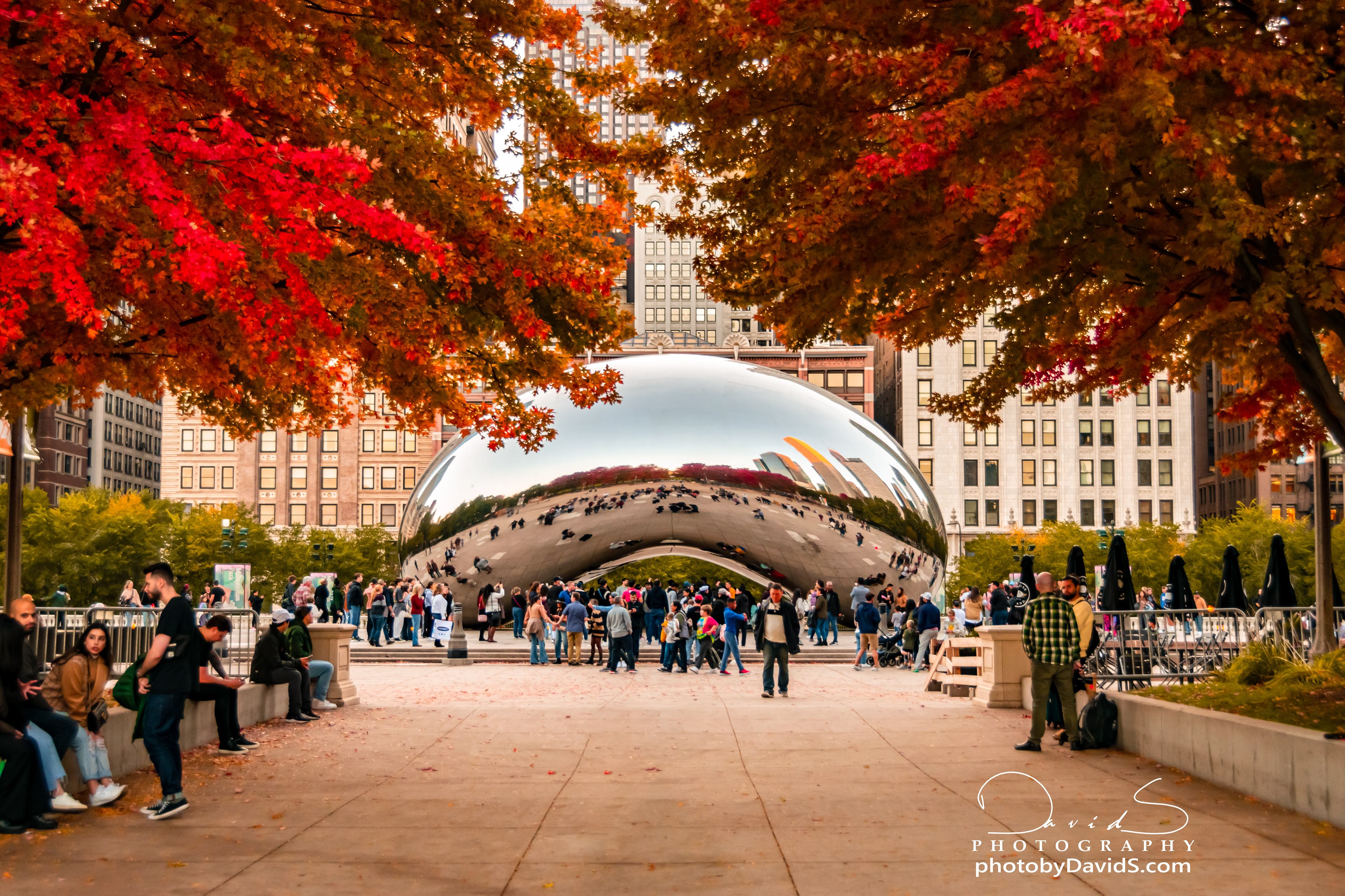 "The Bean" - Chicago, IL